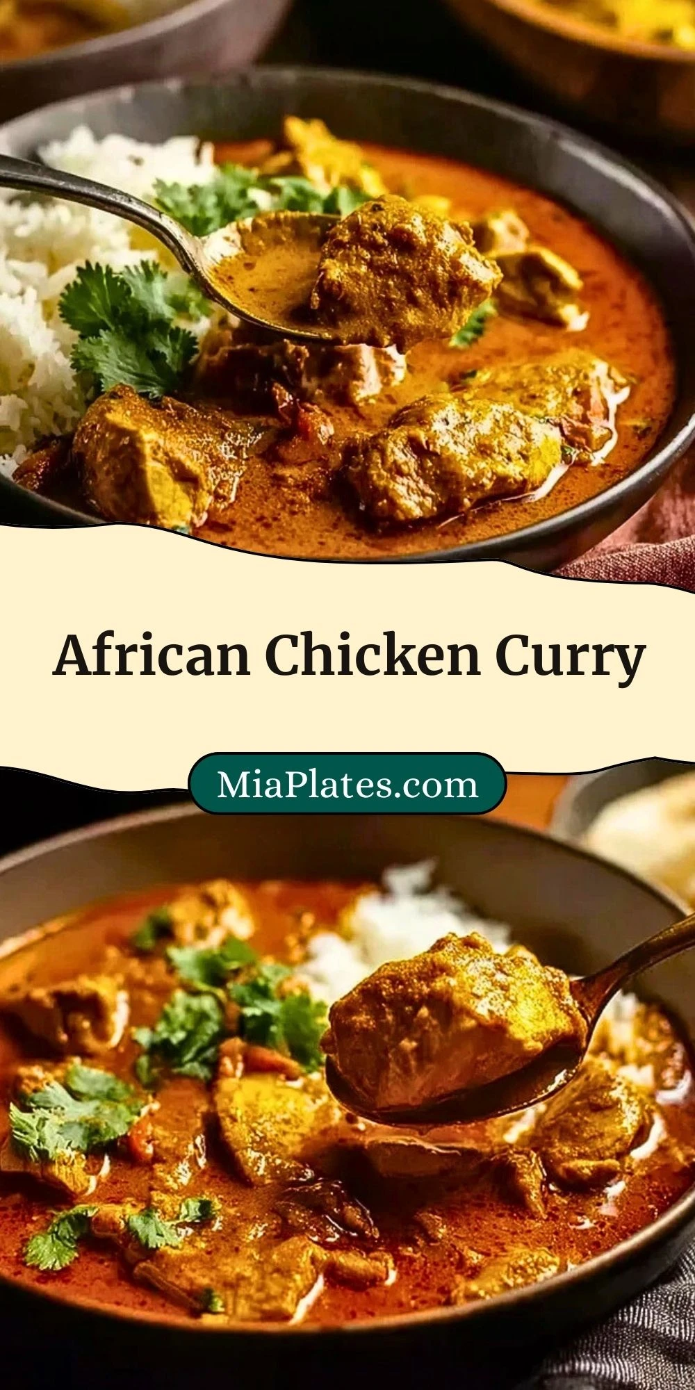 African Chicken Curry (3)