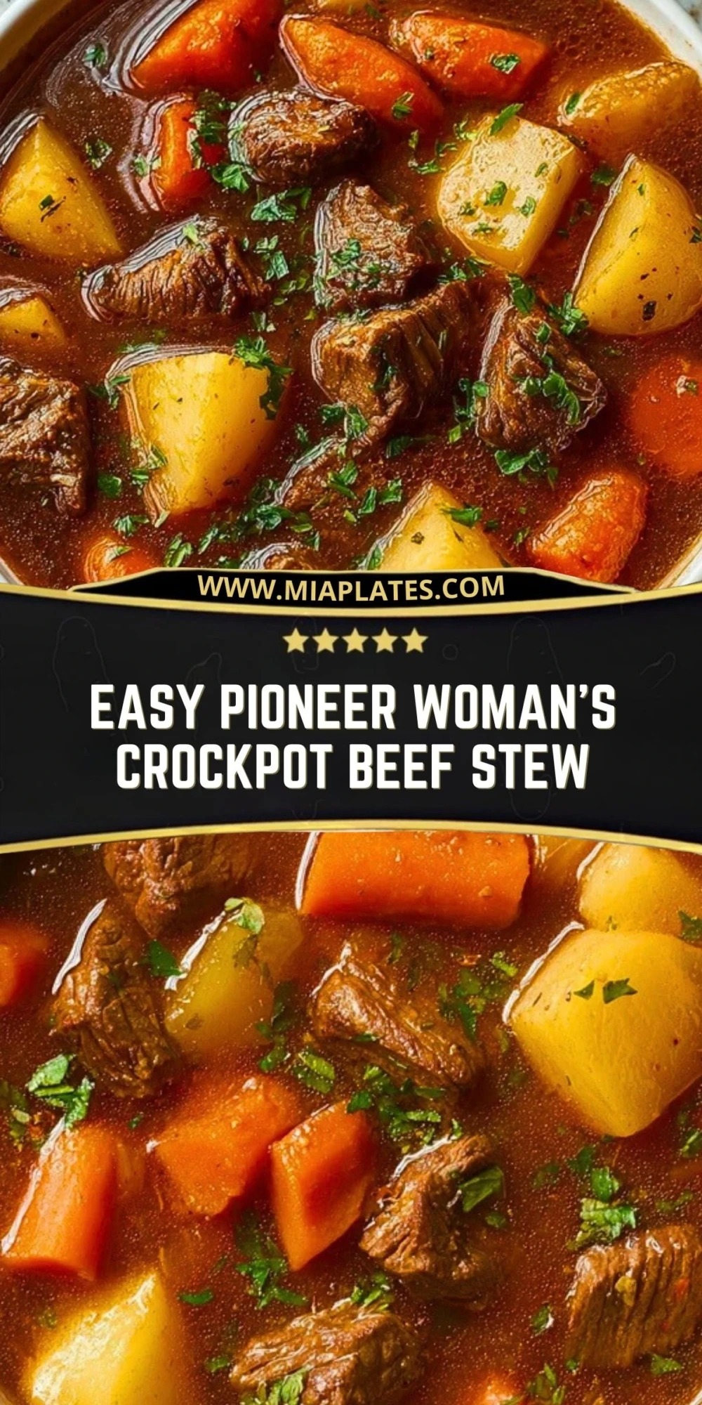 Easy Pioneer Woman's Crockpot Beef Stew (2)