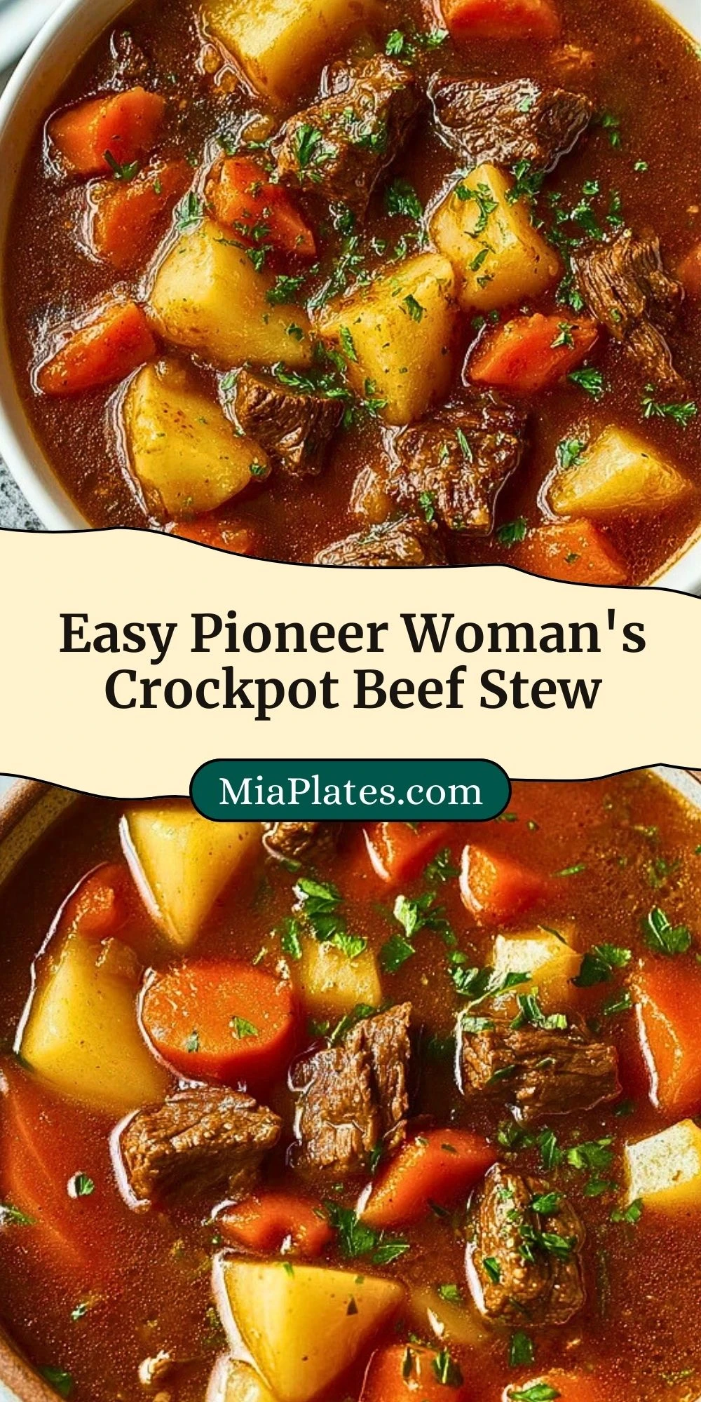 Easy Pioneer Woman's Crockpot Beef Stew (3)