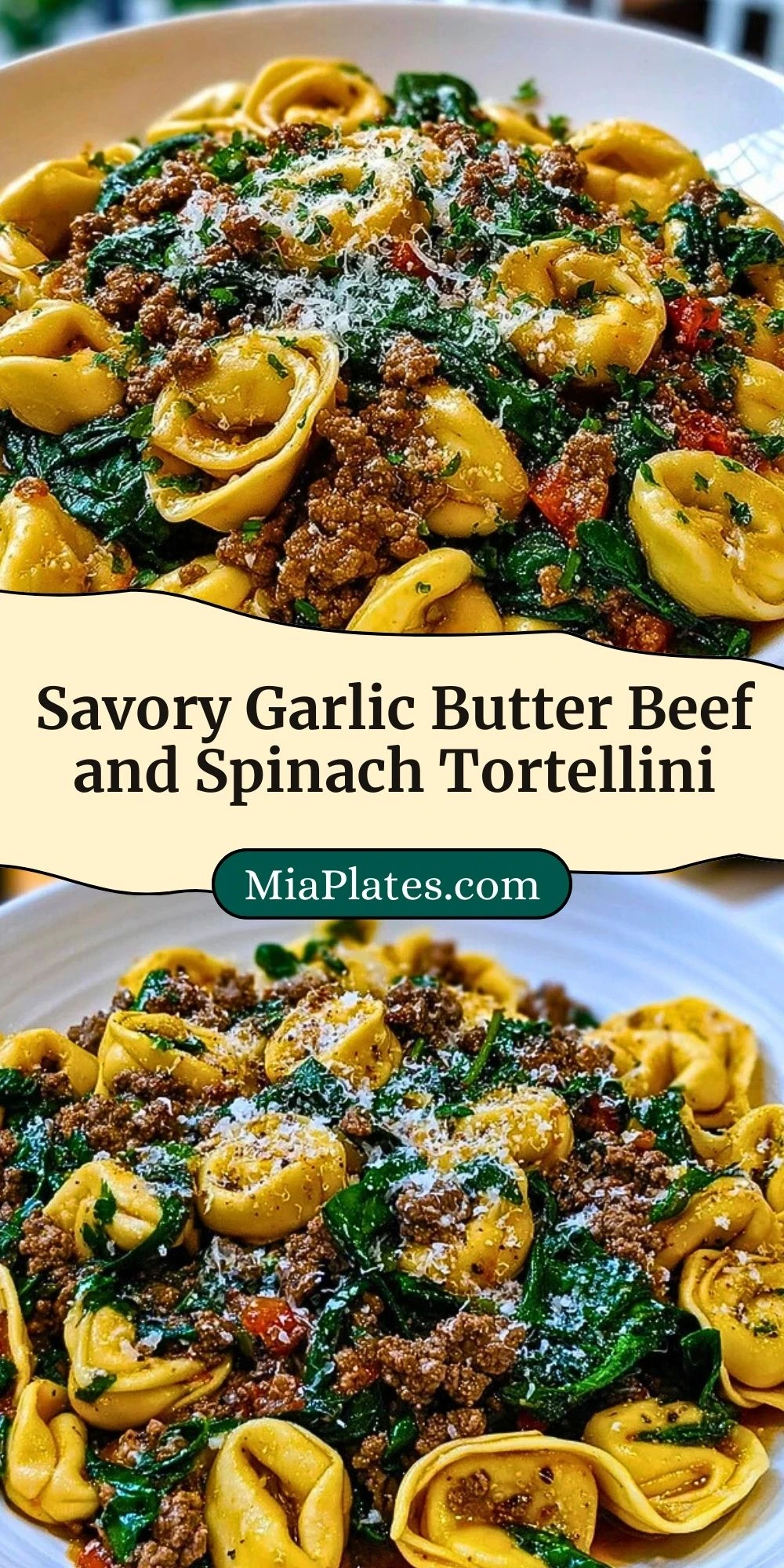 Savory Garlic Butter Beef and Spinach Tortellini (3)