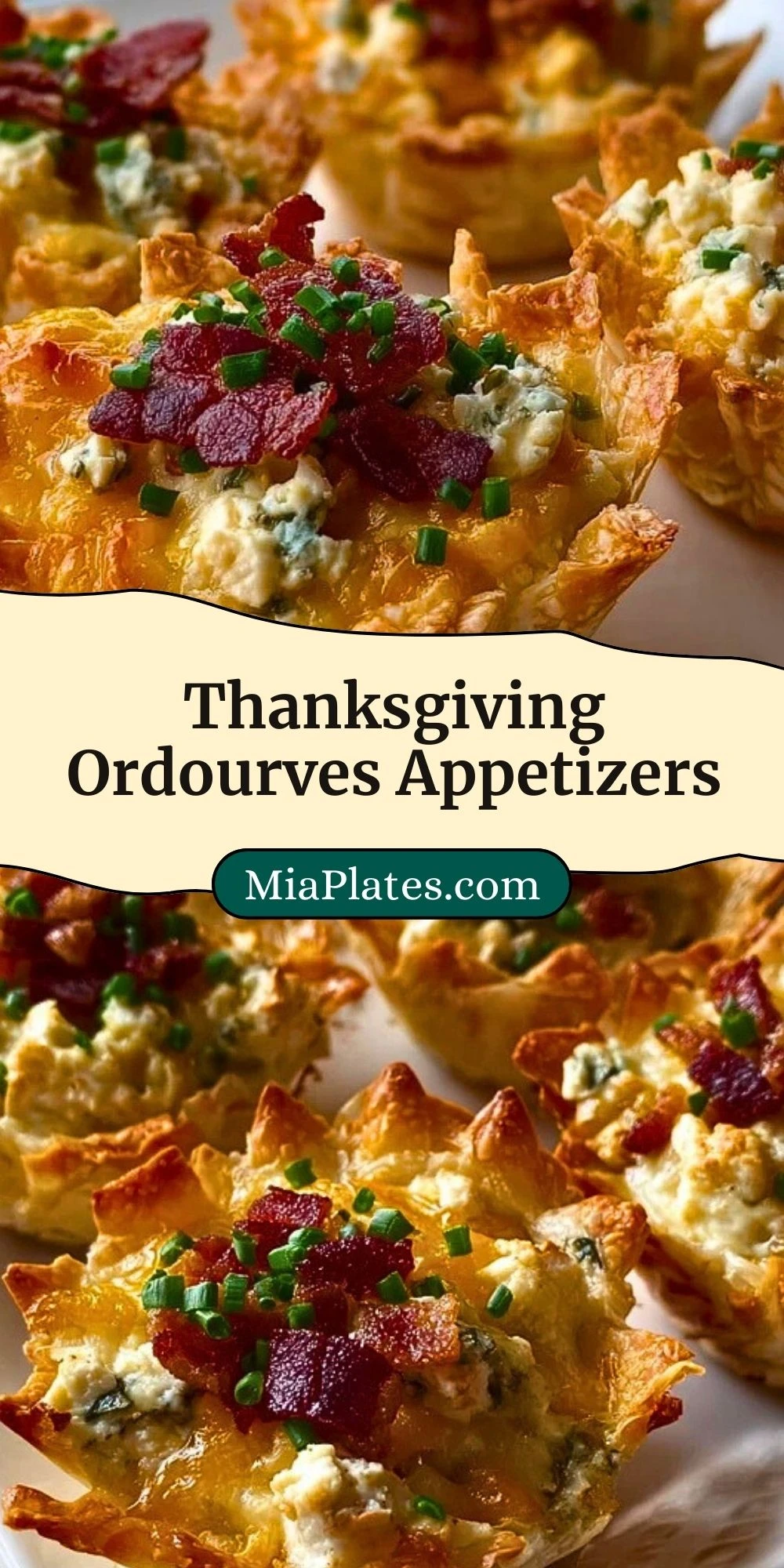 Thanksgiving Ordourves Appetizers (2)