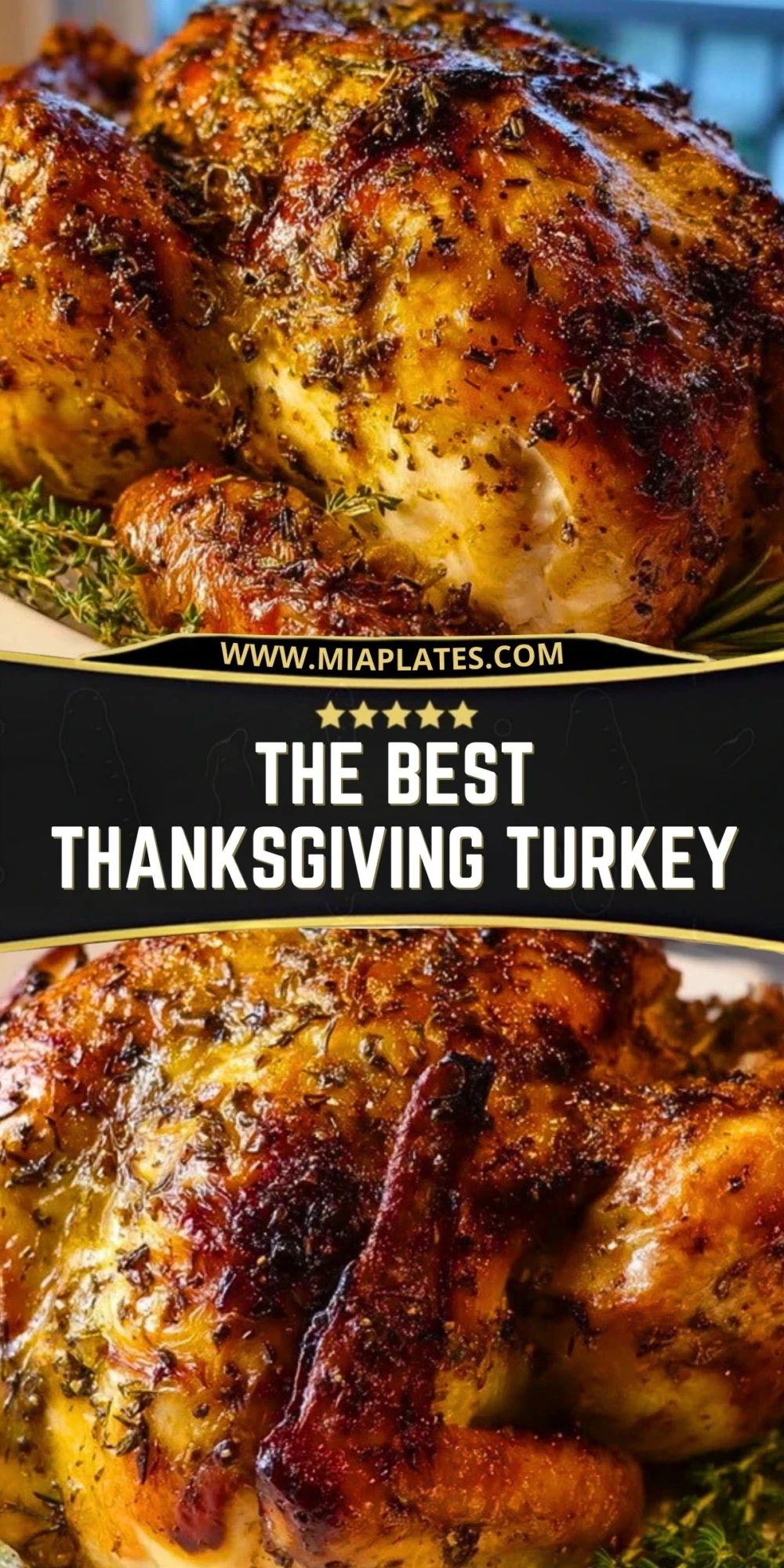 The Best Thanksgiving Turkey (2)