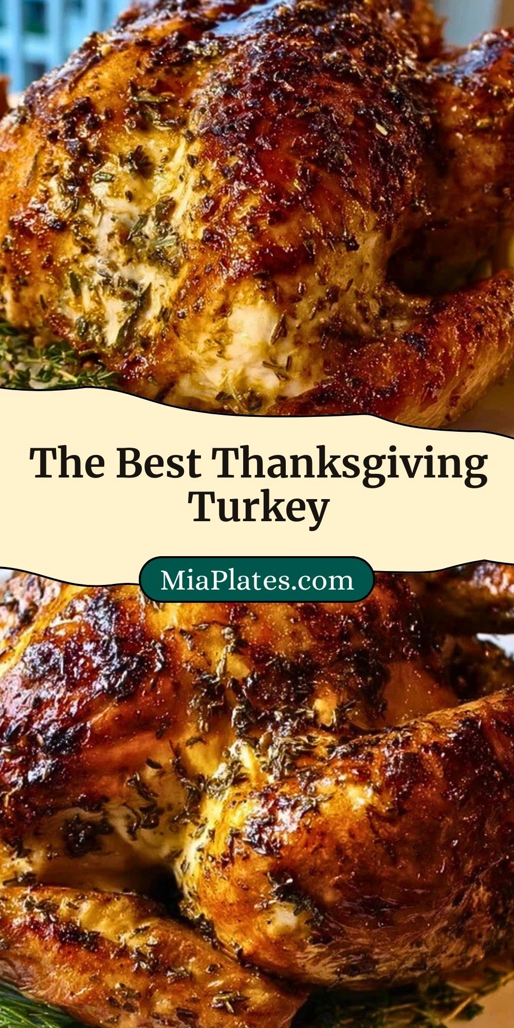 The Best Thanksgiving Turkey (3)