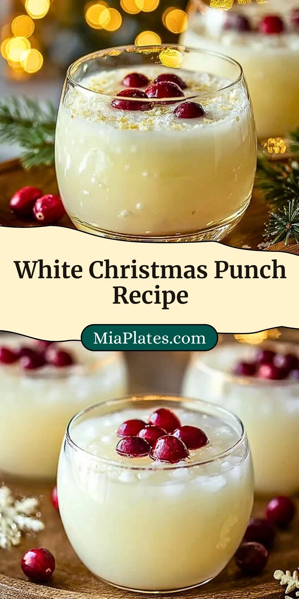 White Christmas Punch Recipe (3)