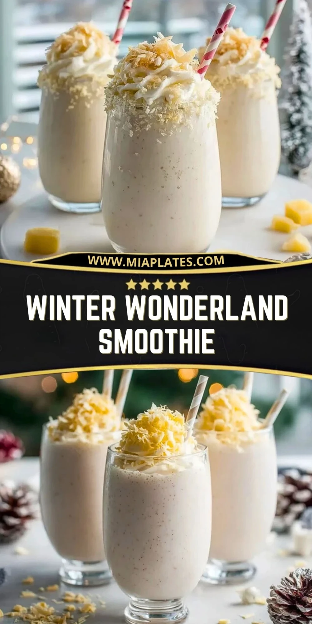 Winter Wonderland Smoothie (2)