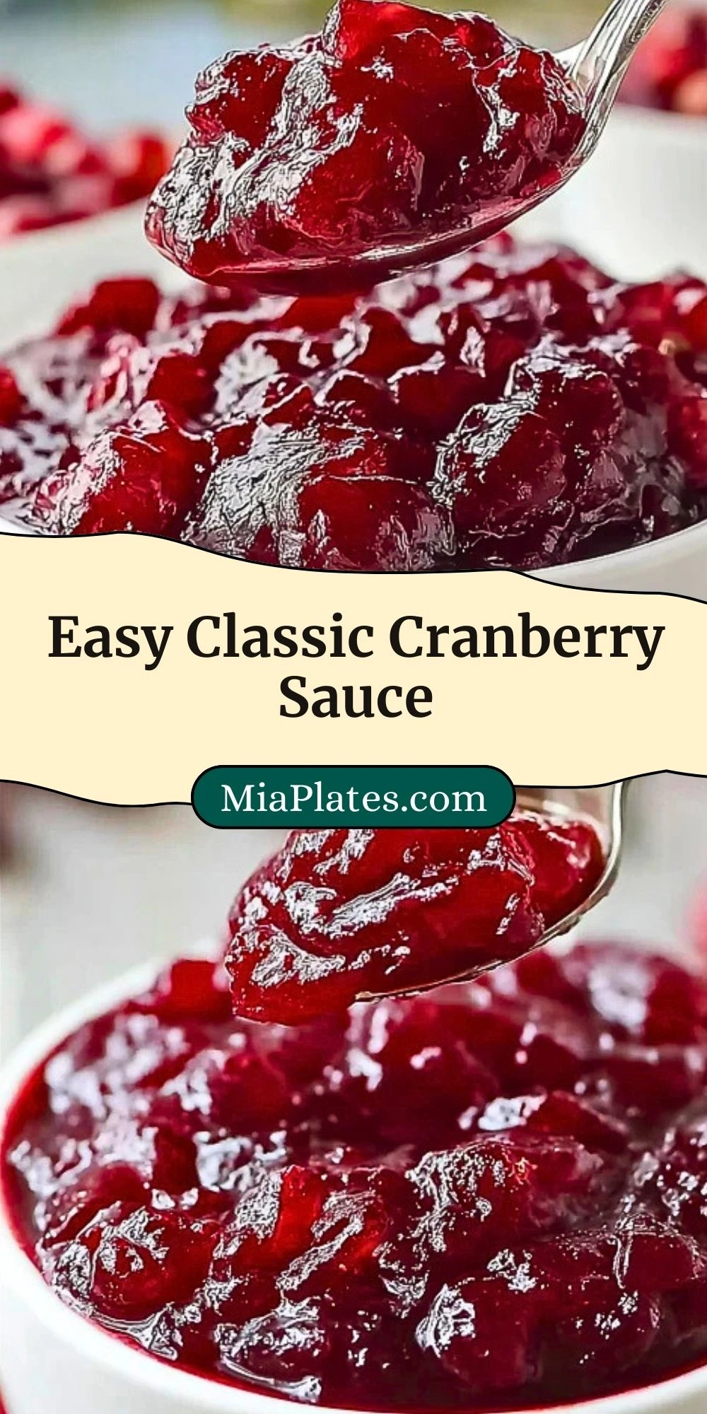 Easy Classic Cranberry Sauce (3)