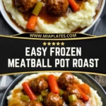 Easy Frozen Meatball Pot Roast (2)