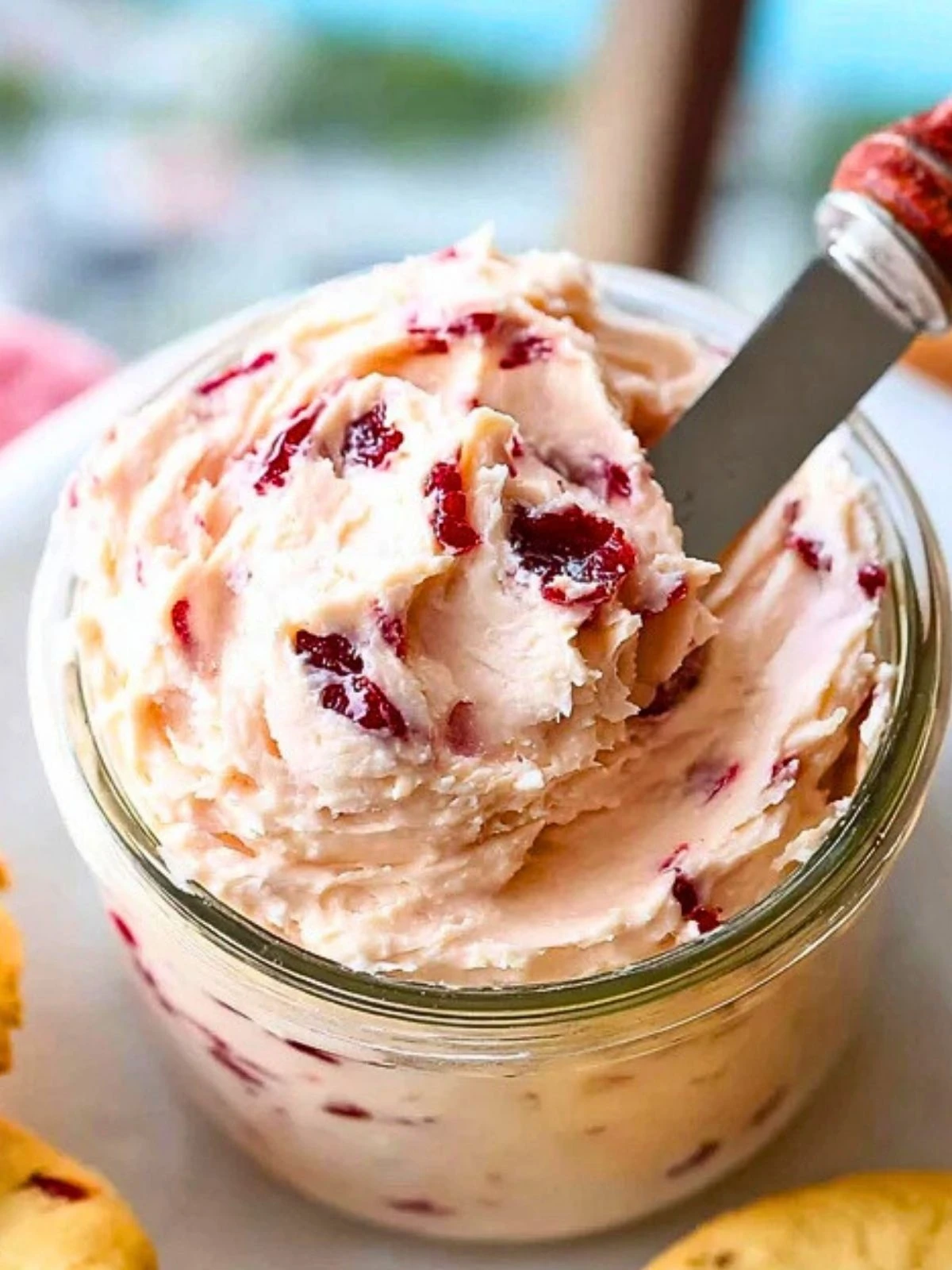 Homemade Cranberry Honey Butter (1)