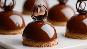 Elegant Chocolate Mascarpone Dome Dessert