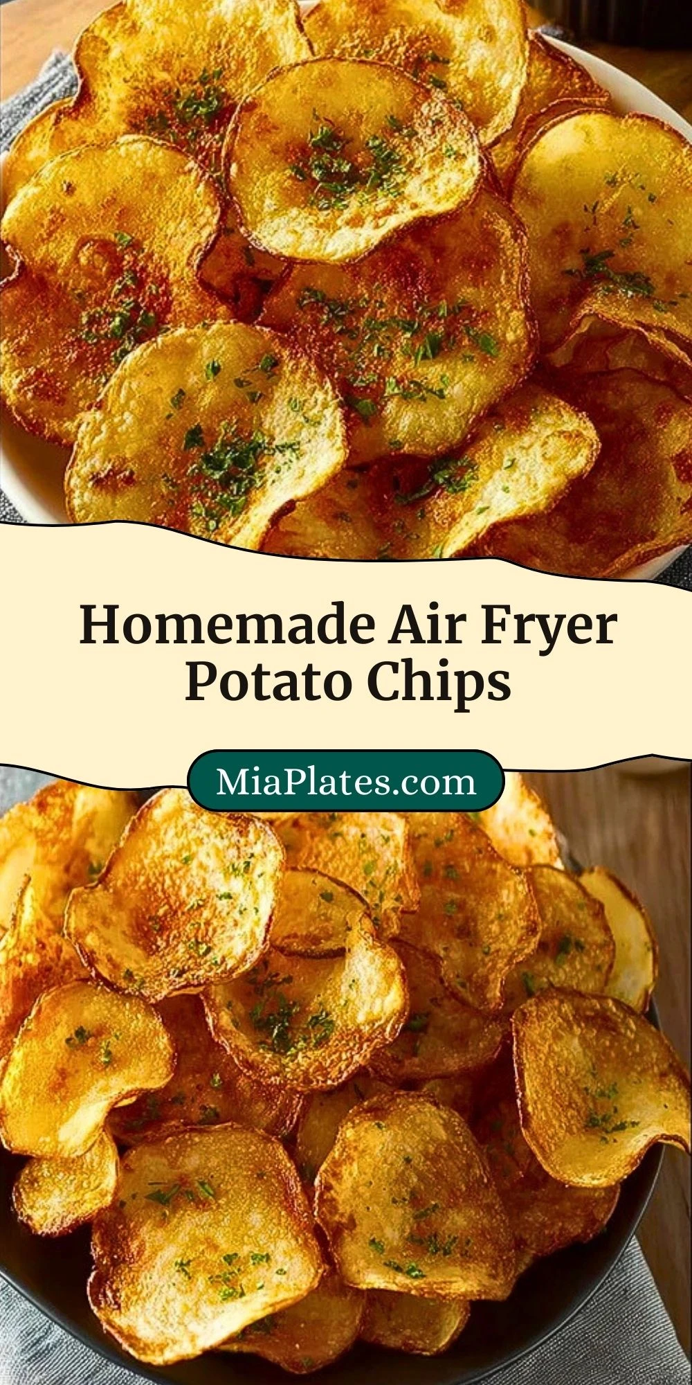 Homemade Air Fryer Potato Chips (3)