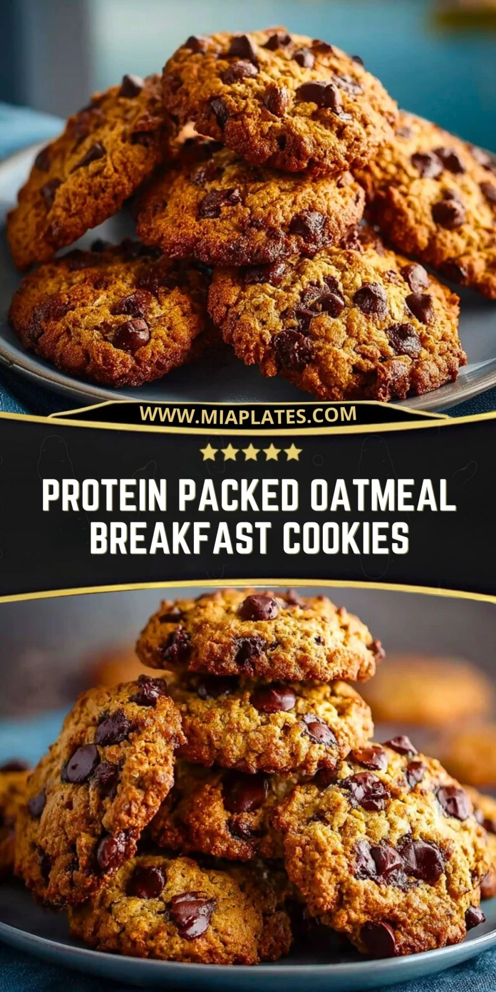 Protein Packed Oatmeal Breakfast Cookies (2)