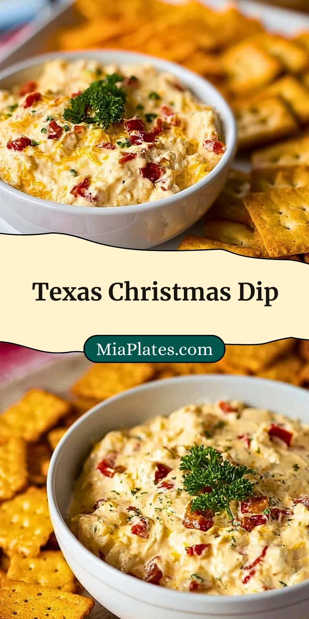 Texas Christmas Dip (3)