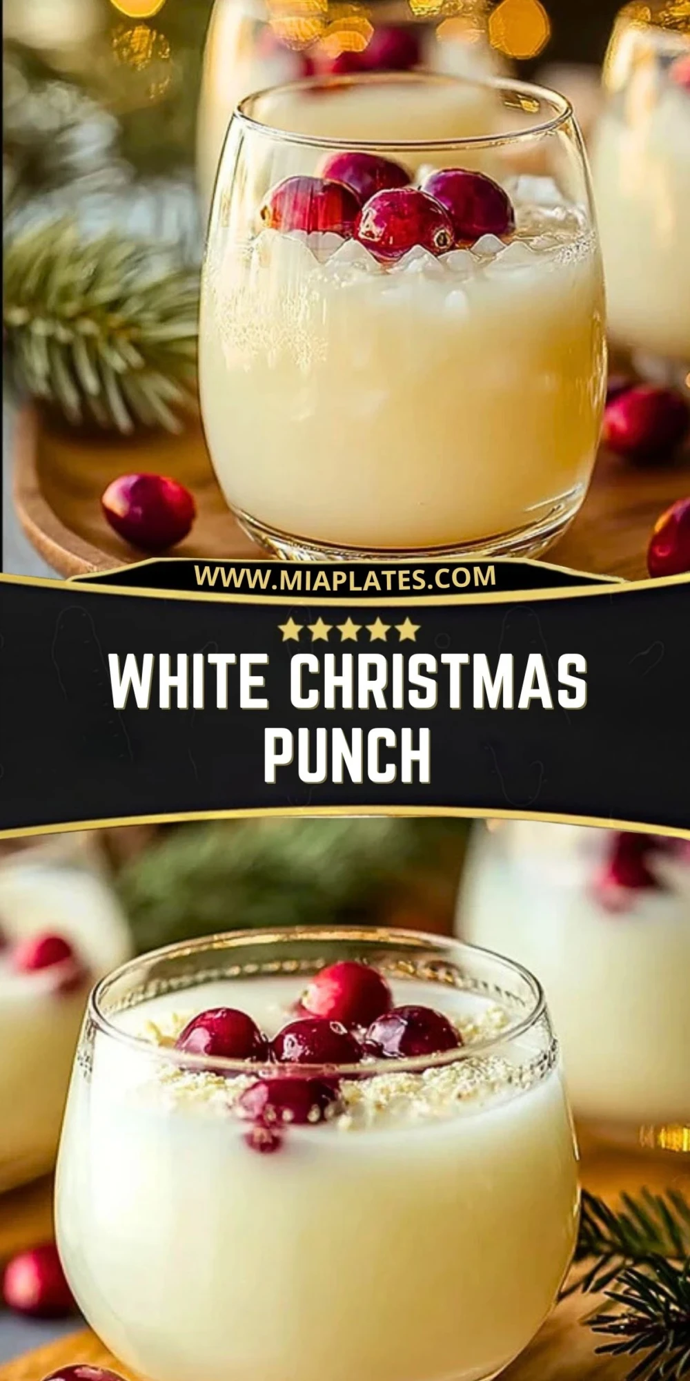 White Christmas Punch (3)