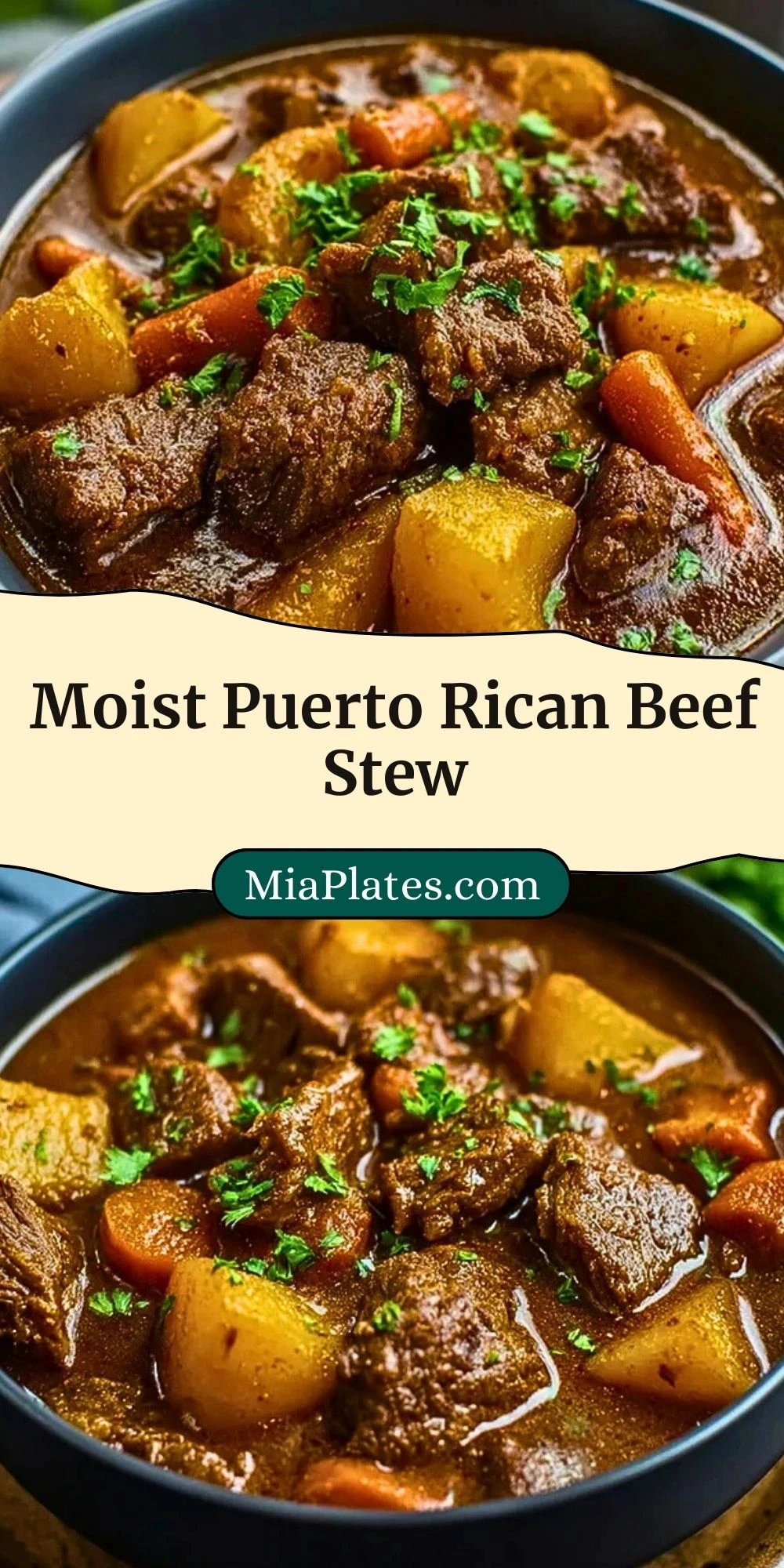 Moist Puerto Rican Beef Stew (3)