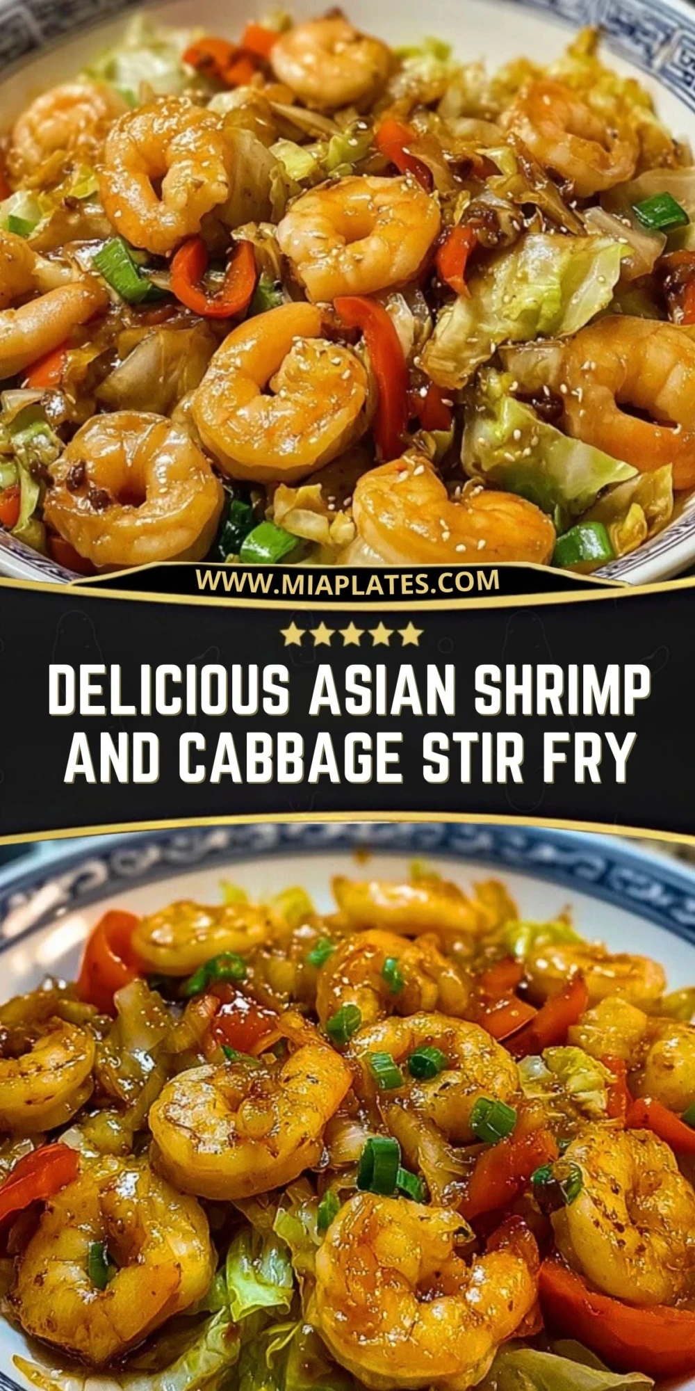 Delicious Asian Shrimp and Cabbage Stir Fry (2)
