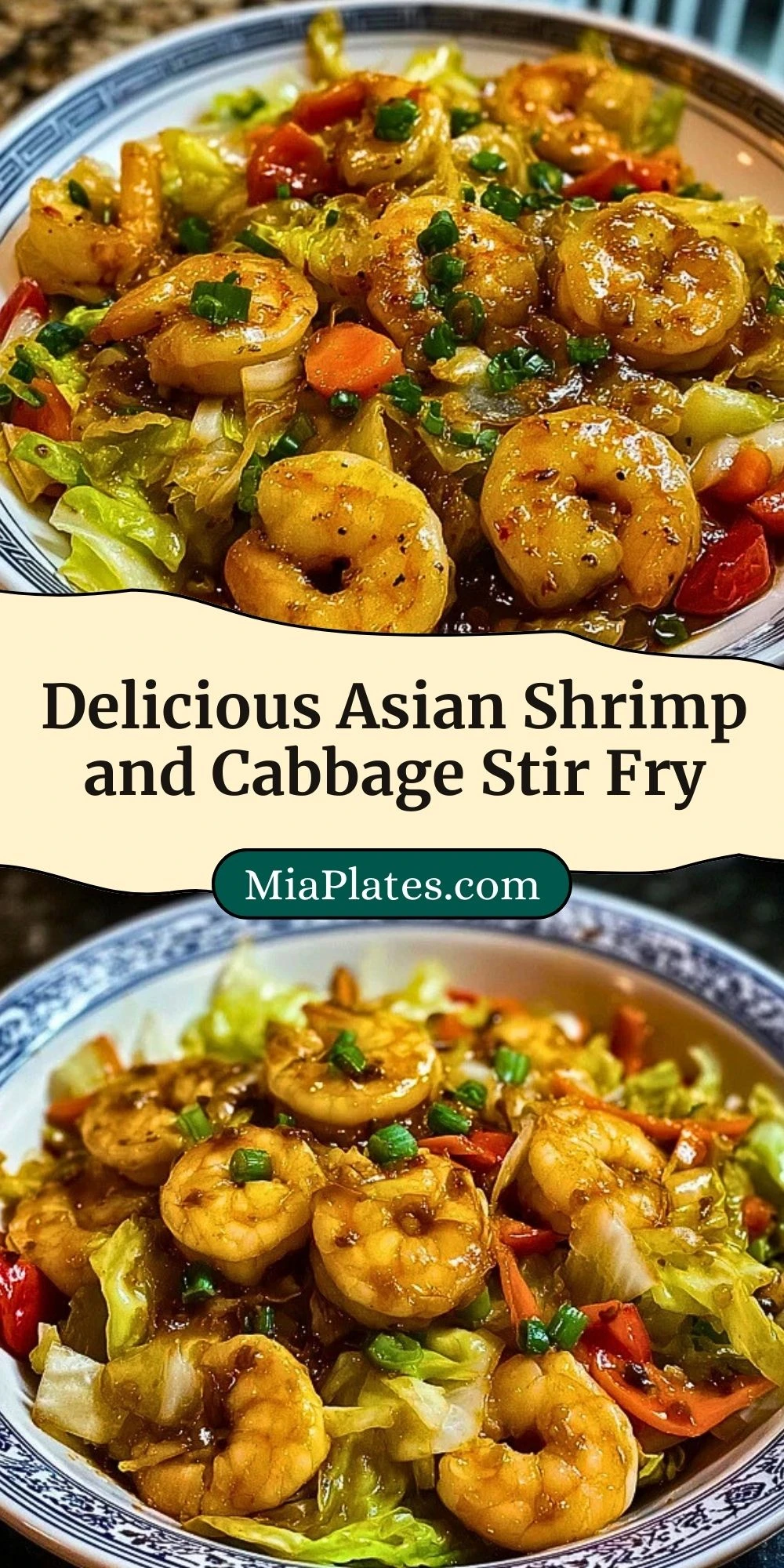 Delicious Asian Shrimp and Cabbage Stir Fry (3)