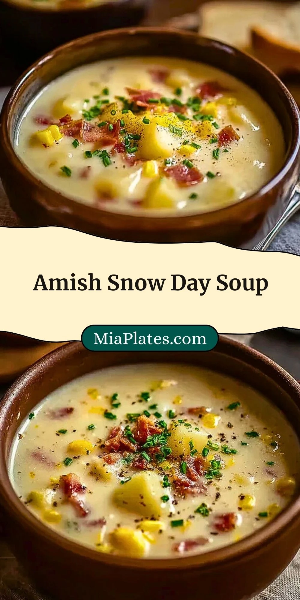 Amish Snow Day Soup (3)