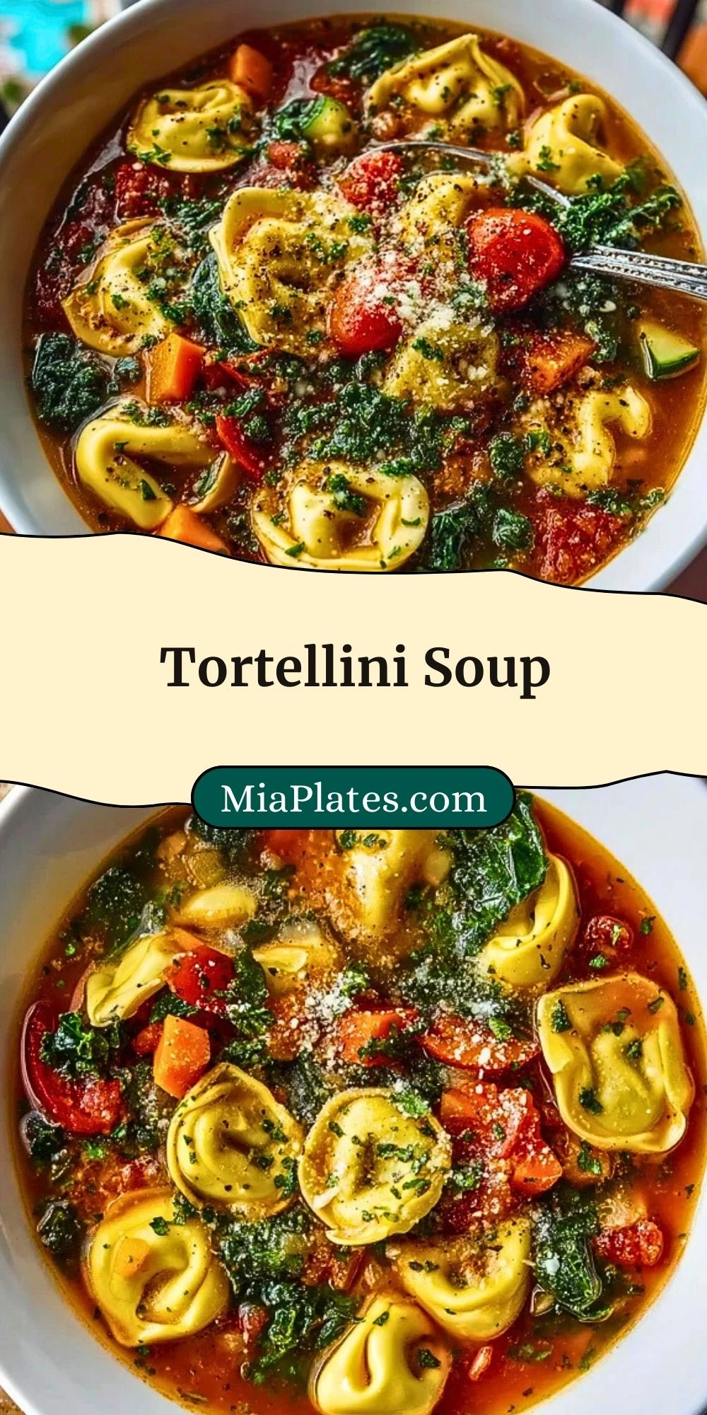 Tortellini Soup (3)