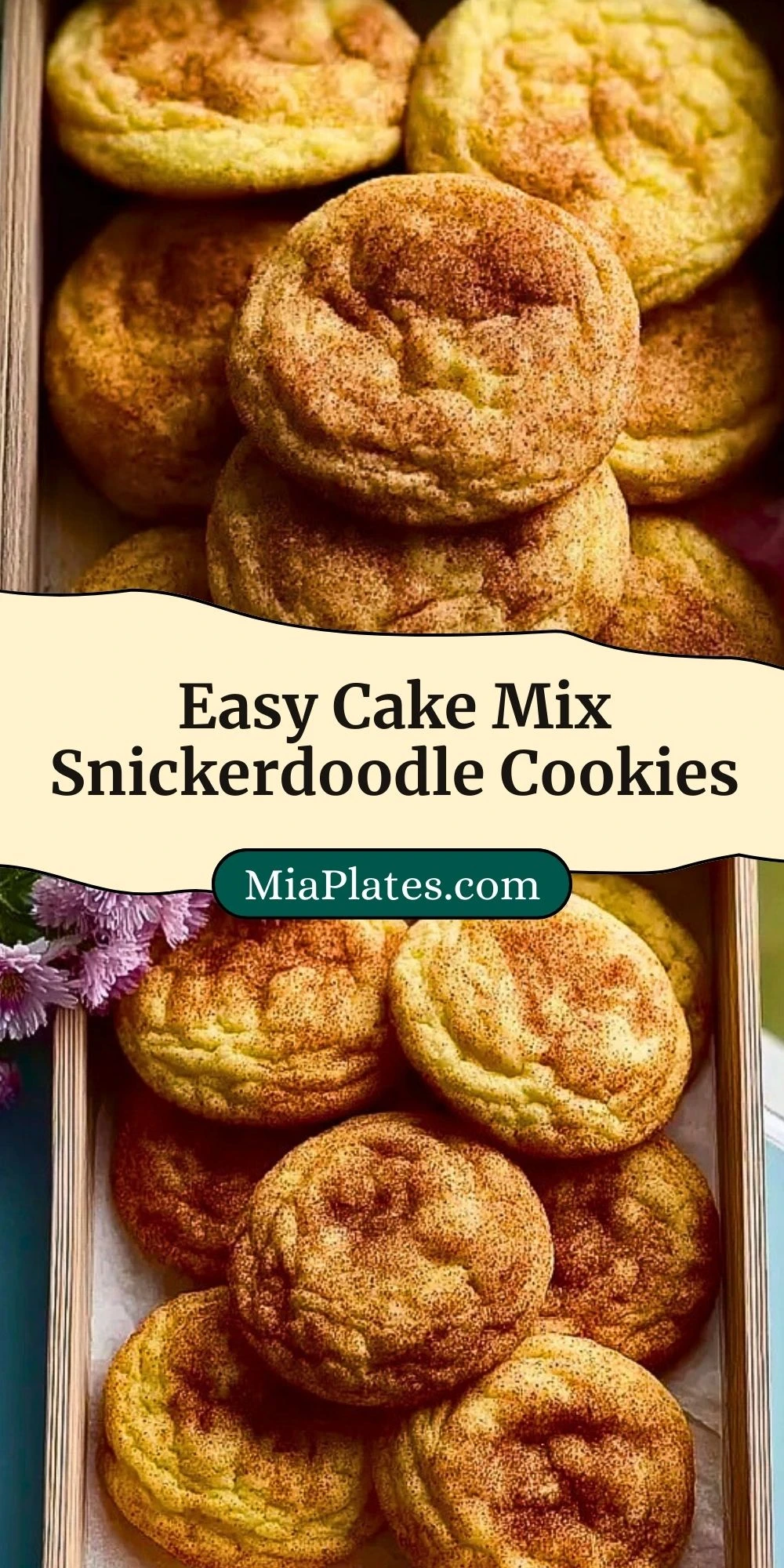 Easy Cake Mix Snickerdoodle Cookies (3)