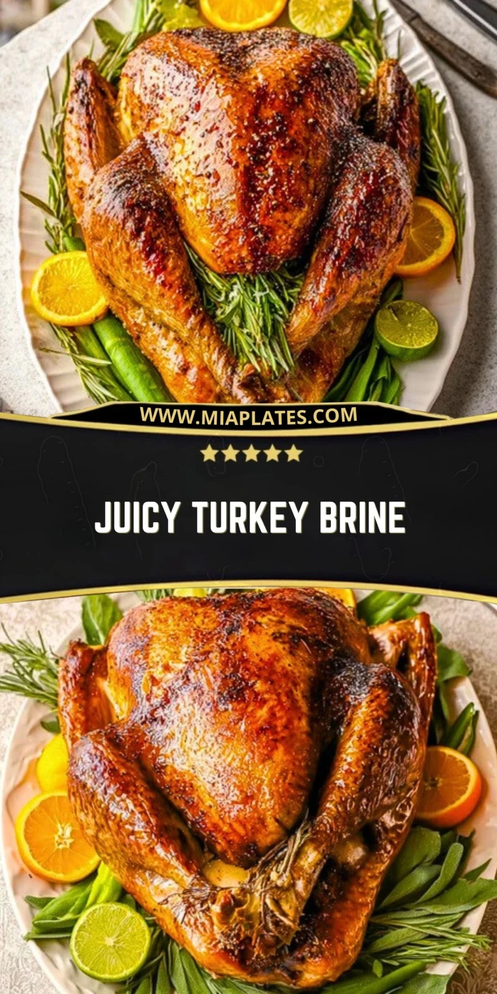 Juicy Turkey Brine (2)