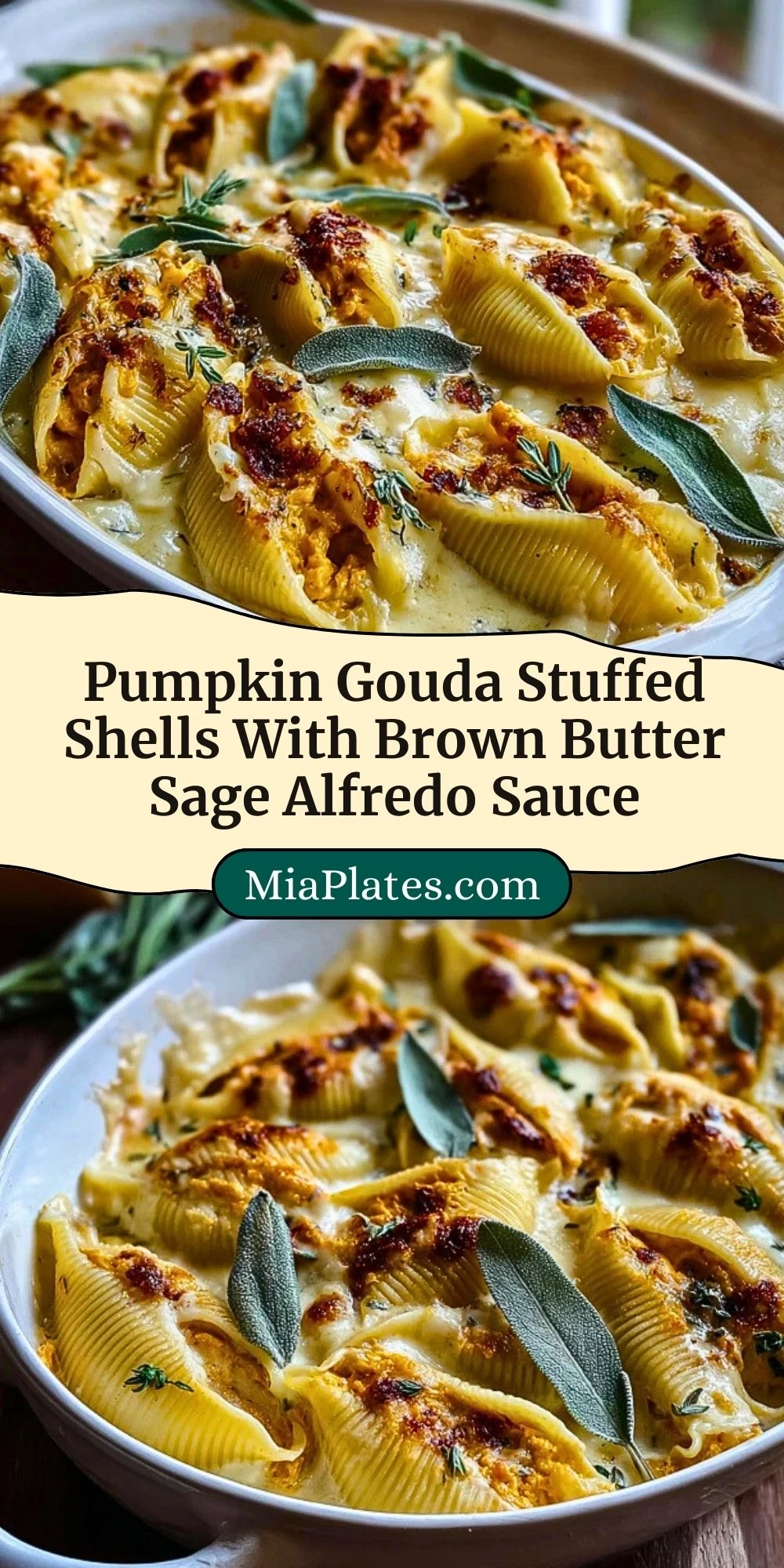 Pumpkin Gouda Stuffed Shells With Brown Butter Sage Alfredo Sauce (3)