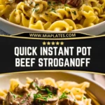 Quick Instant Pot Beef Stroganoff (2)