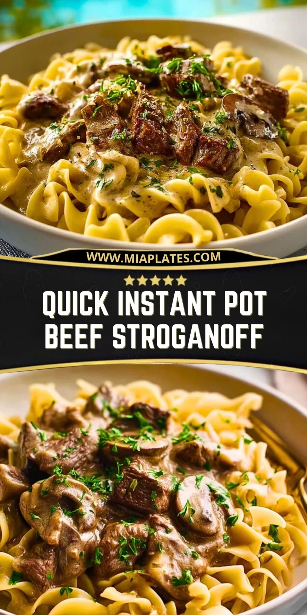 Quick Instant Pot Beef Stroganoff (2)