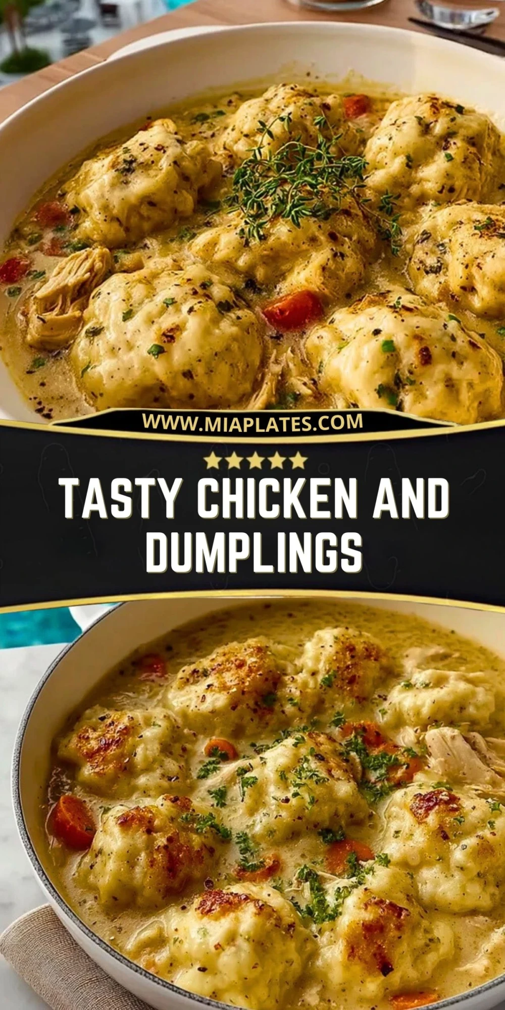 Tasty Chicken And Dumplings (2)
