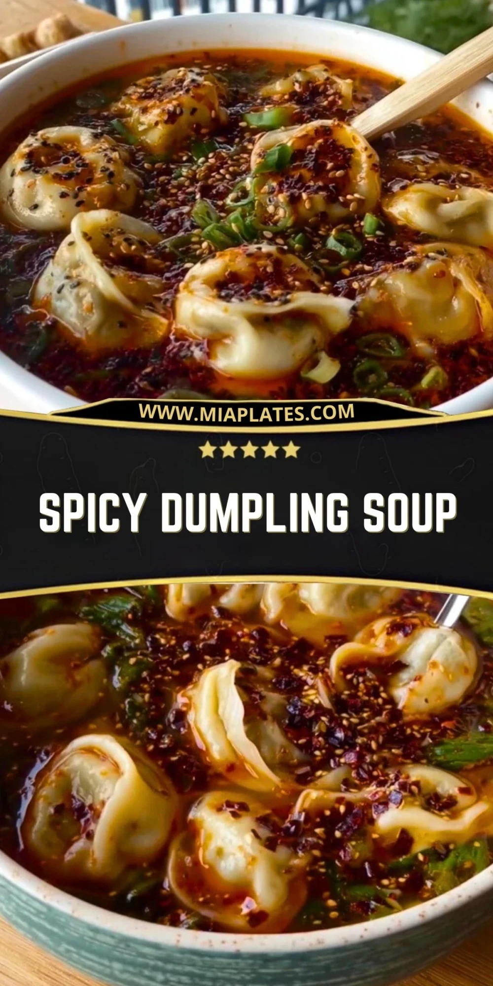 Spicy Dumpling Soup (2)