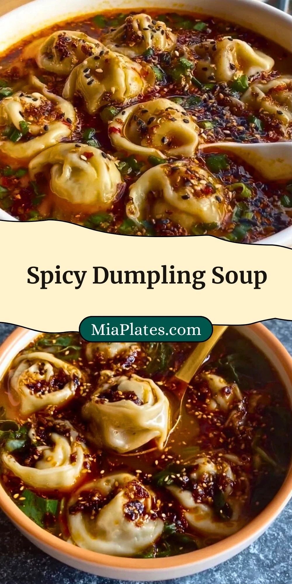 Spicy Dumpling Soup (3)