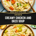 Creamy Chicken and Orzo Soup (2)