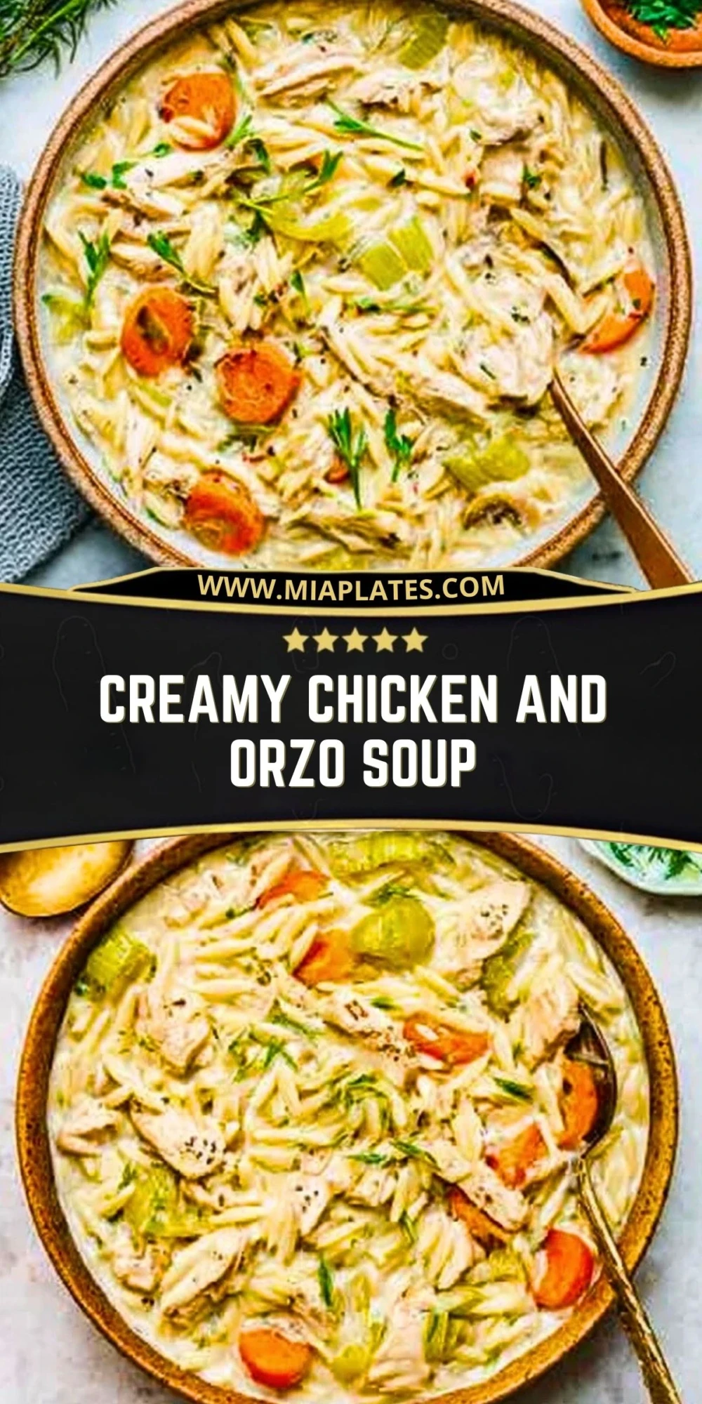 Creamy Chicken and Orzo Soup (2)