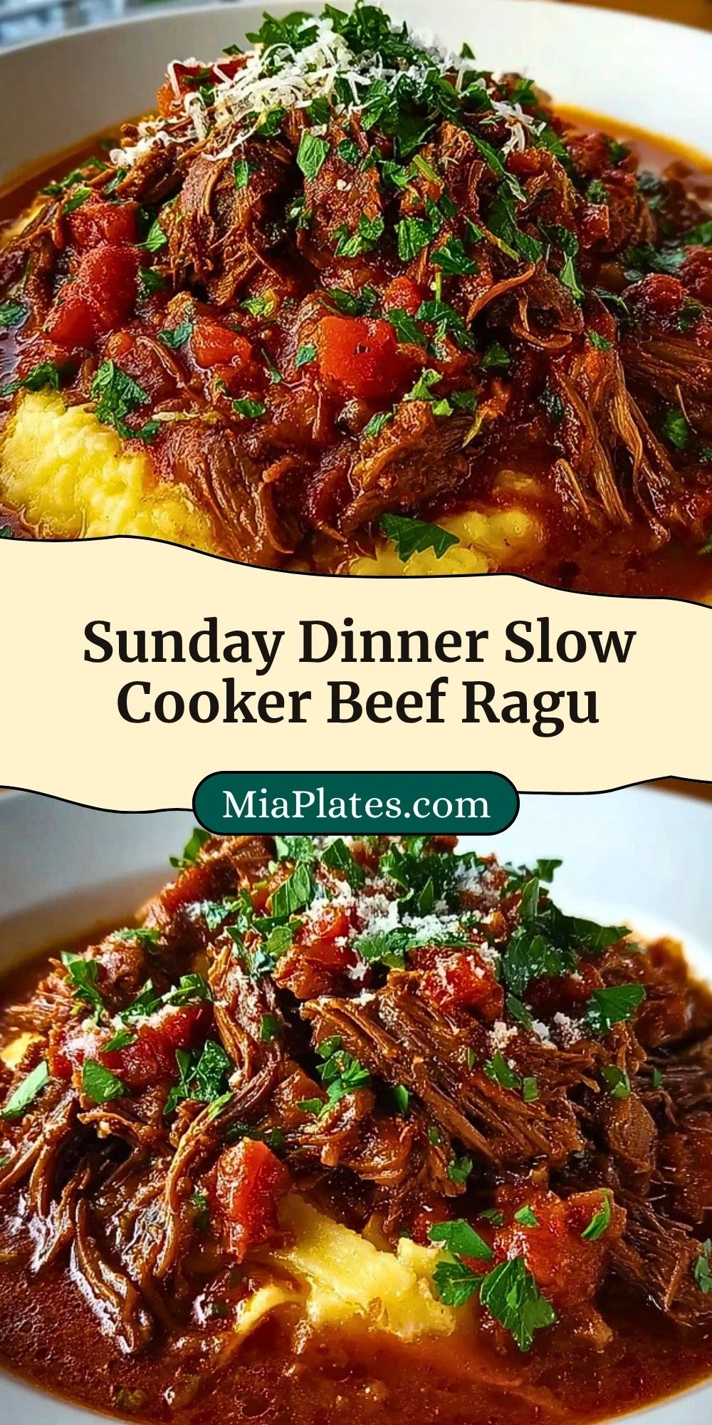 Sunday Dinner Slow Cooker Beef Ragu (3)