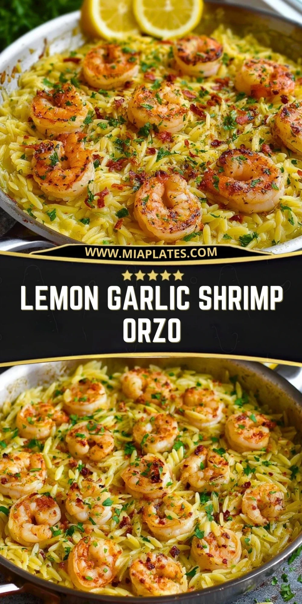 Lemon Garlic Shrimp Orzo (2)