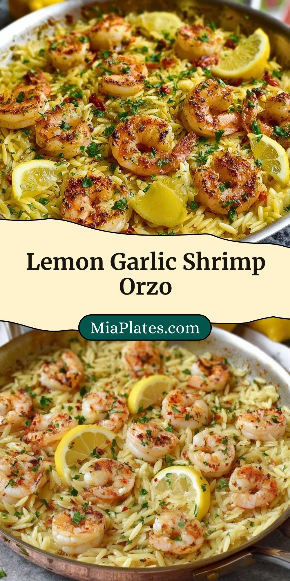 Lemon Garlic Shrimp Orzo (3)