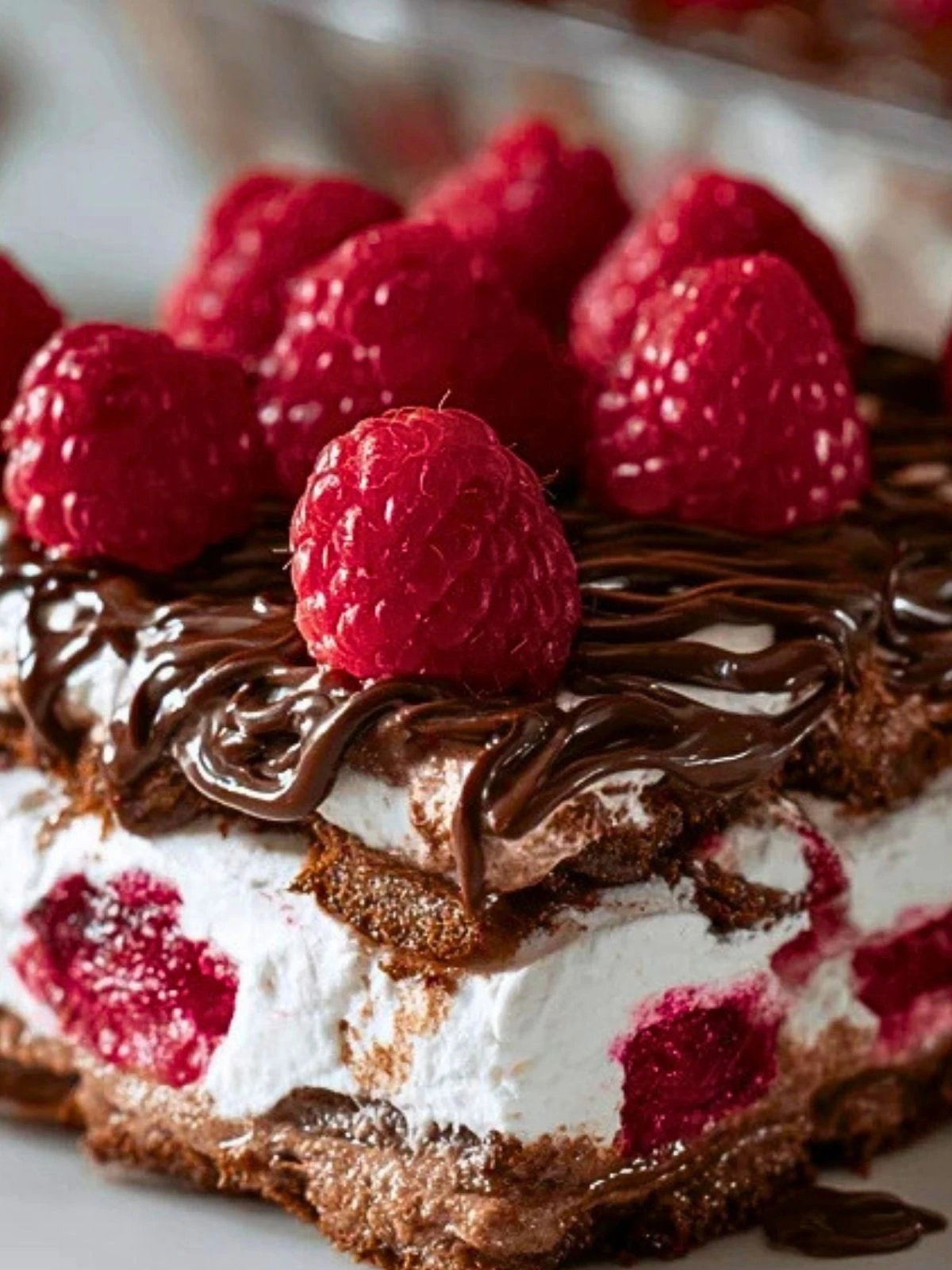 Raspberry Chocolate Lasagna (1)