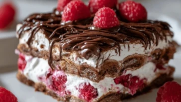 Raspberry Chocolate Lasagna