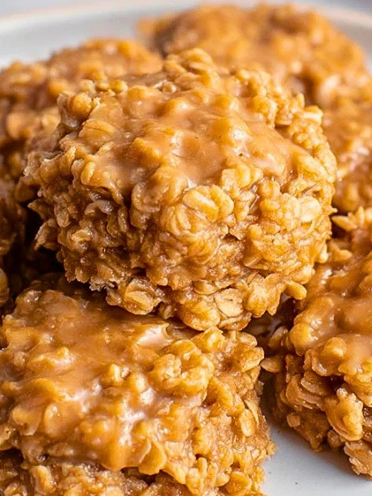 Fudgy Crunchy No-Bake Magic (1)