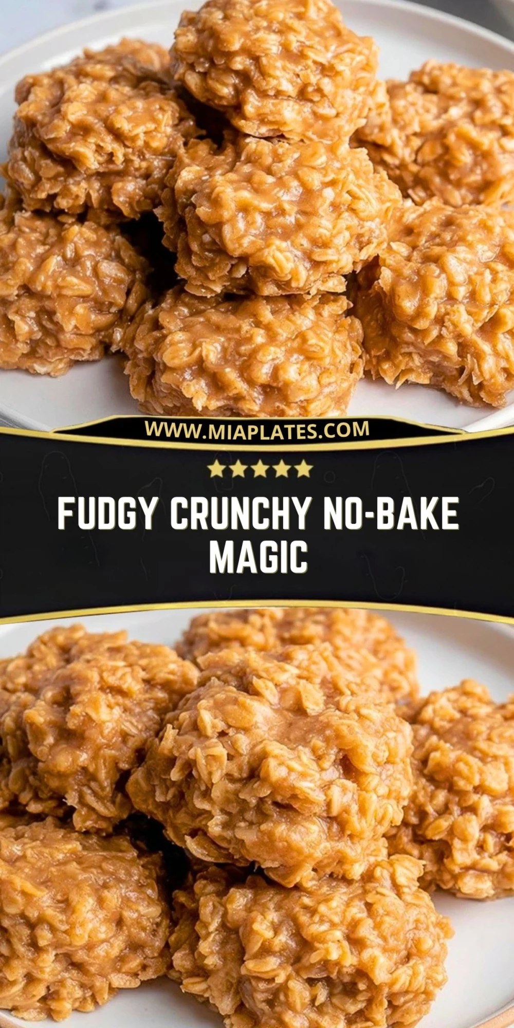 Fudgy Crunchy No-Bake Magic (2)