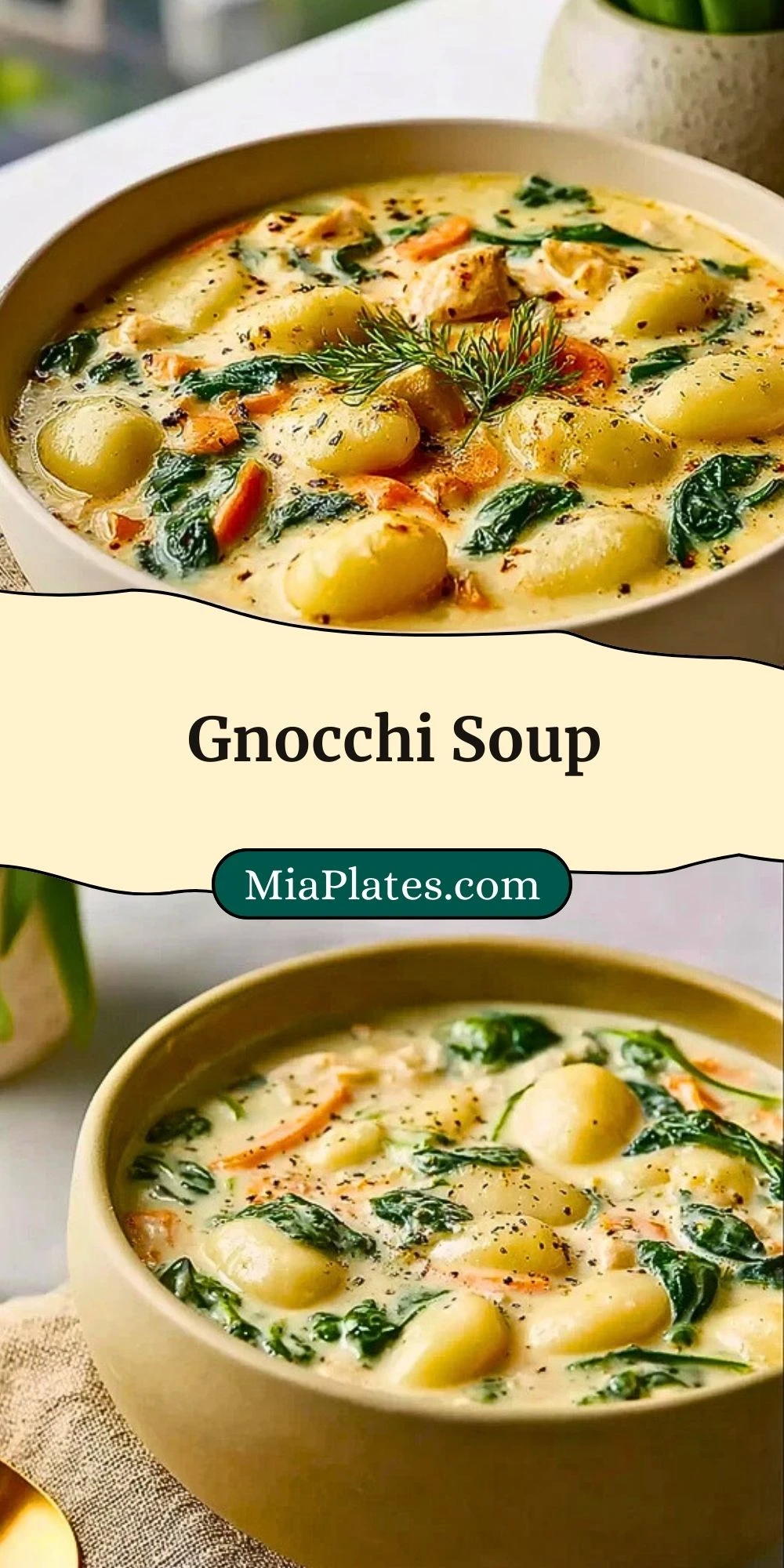 Gnocchi Soup (3)