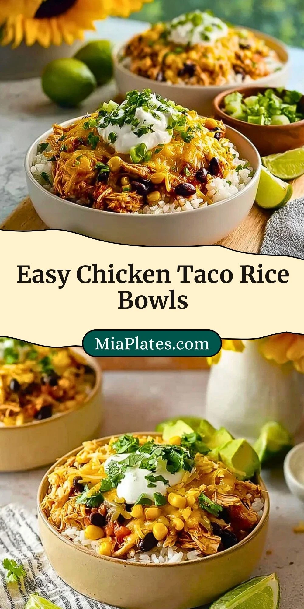 Easy Chicken Taco Rice Bowls (3)