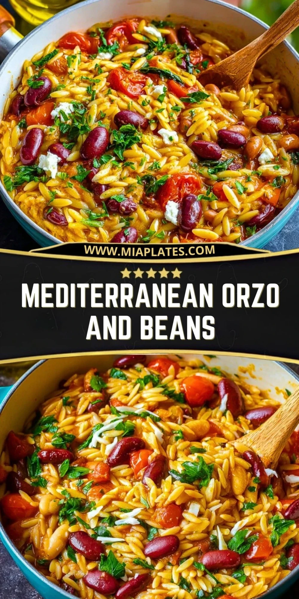 Mediterranean Orzo And Beans (2)