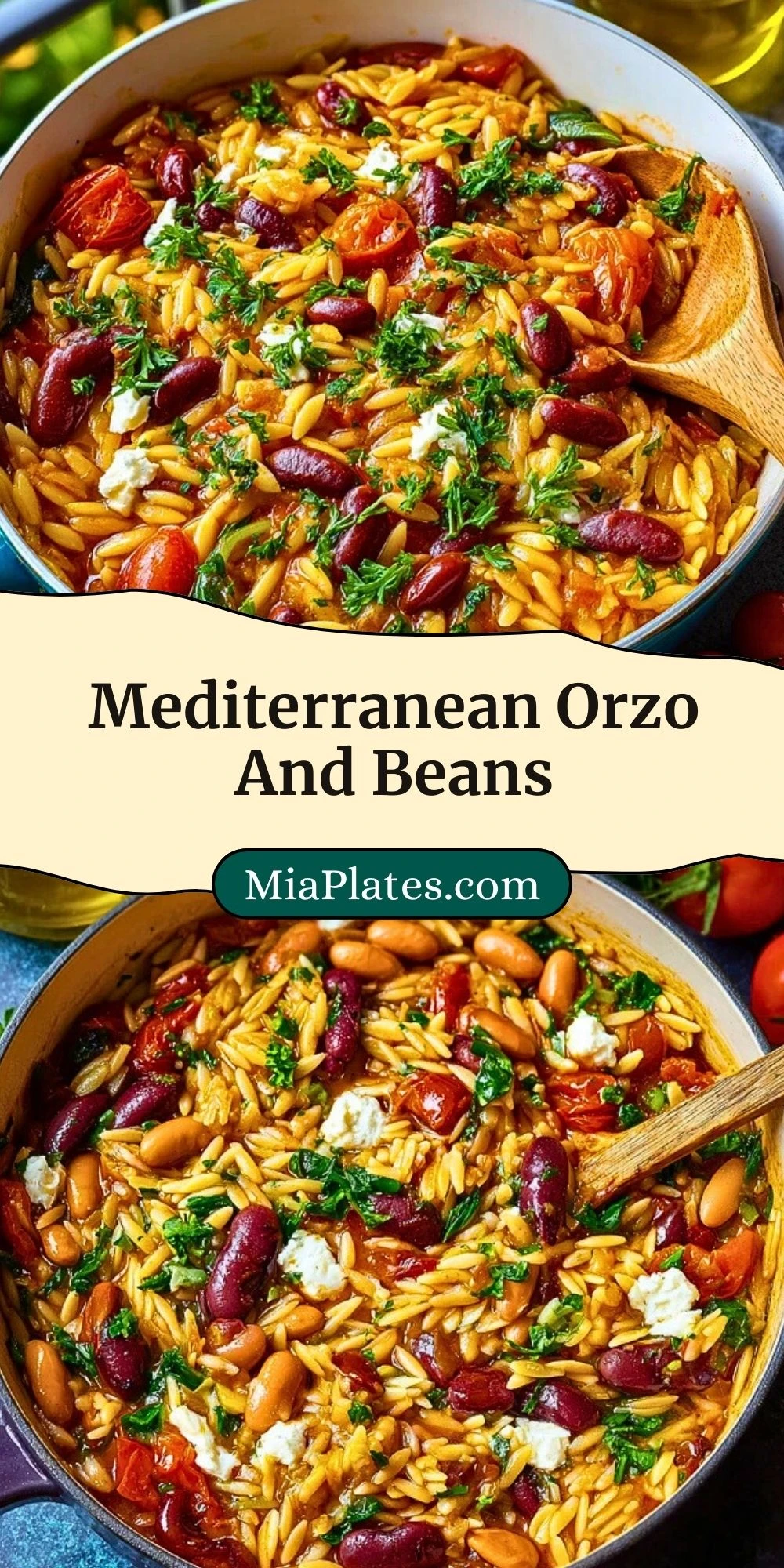 Mediterranean Orzo And Beans (3)