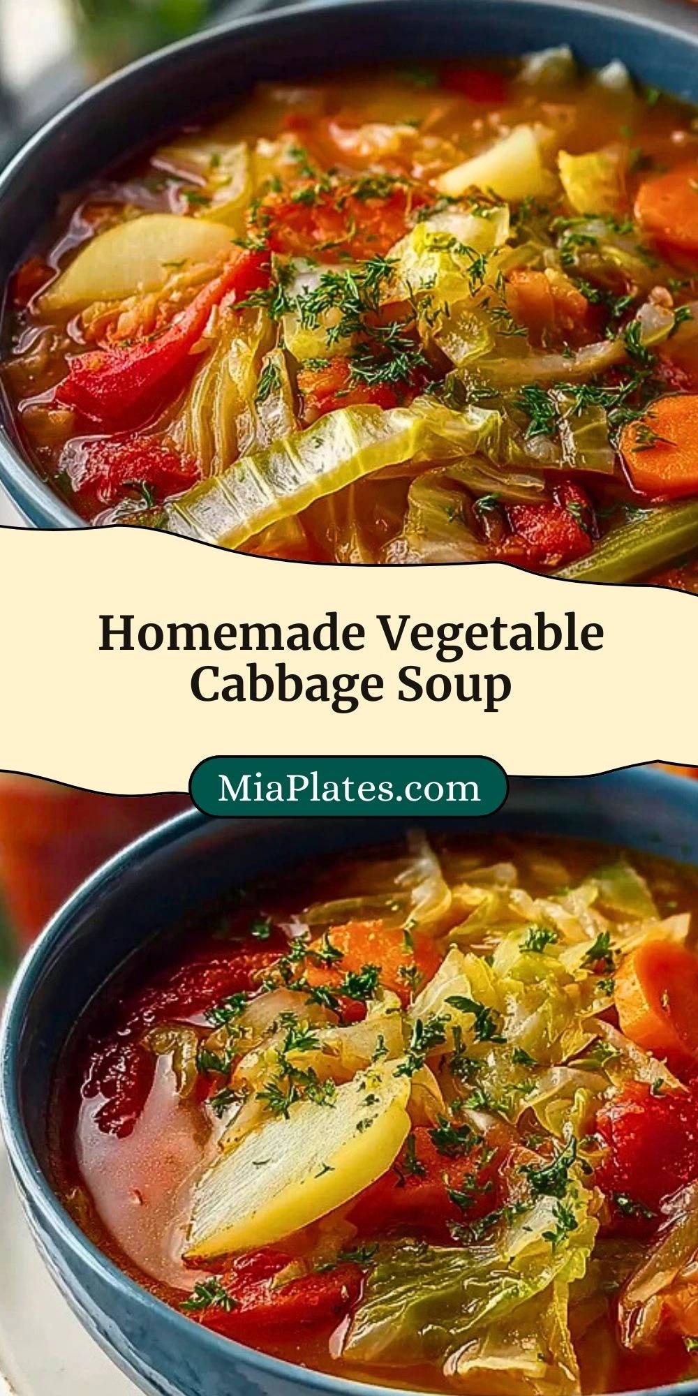 Homemade Vegetable Cabbage Soup (3)