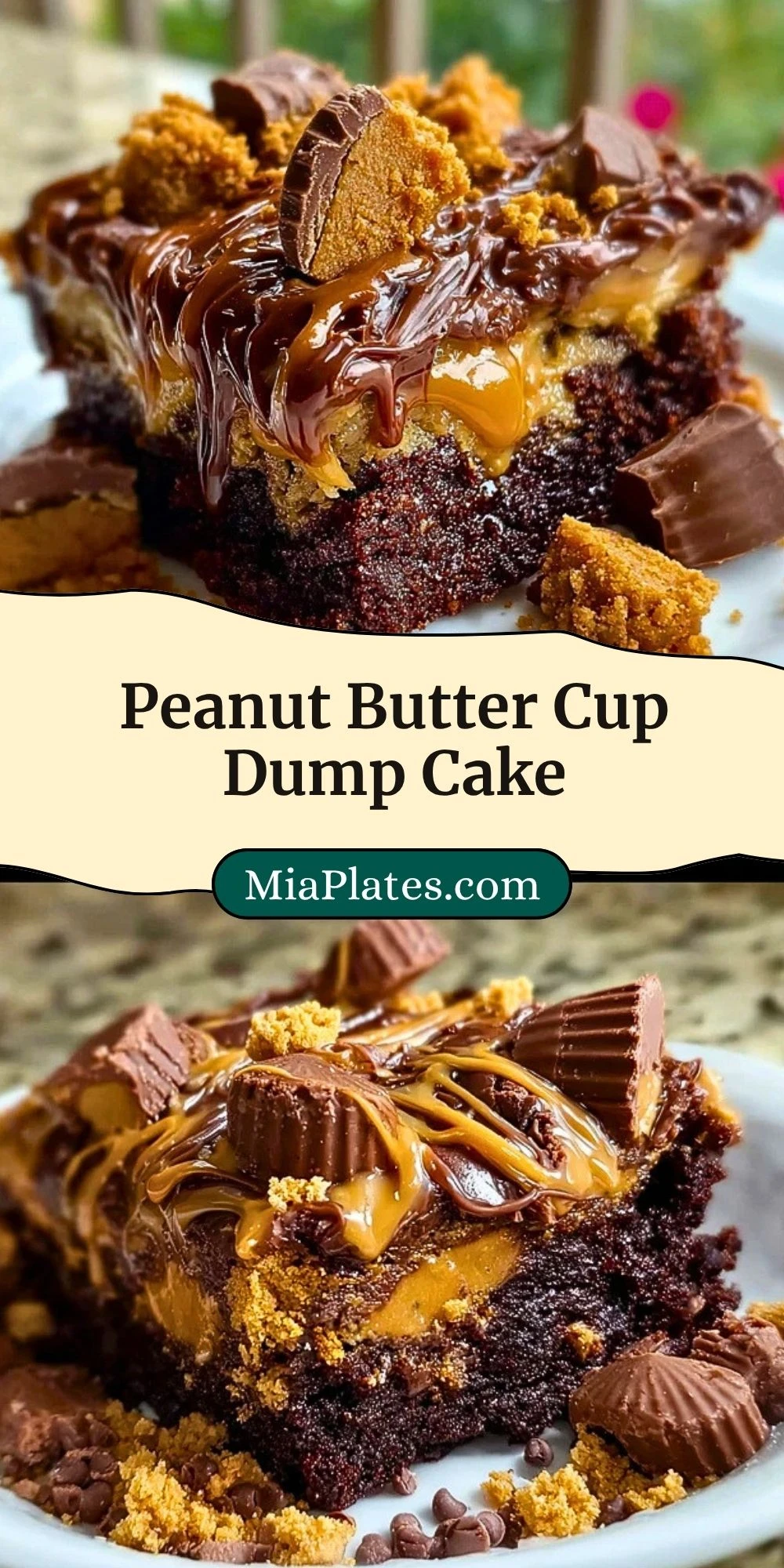 Peanut Butter Cup Dump Cake (3)