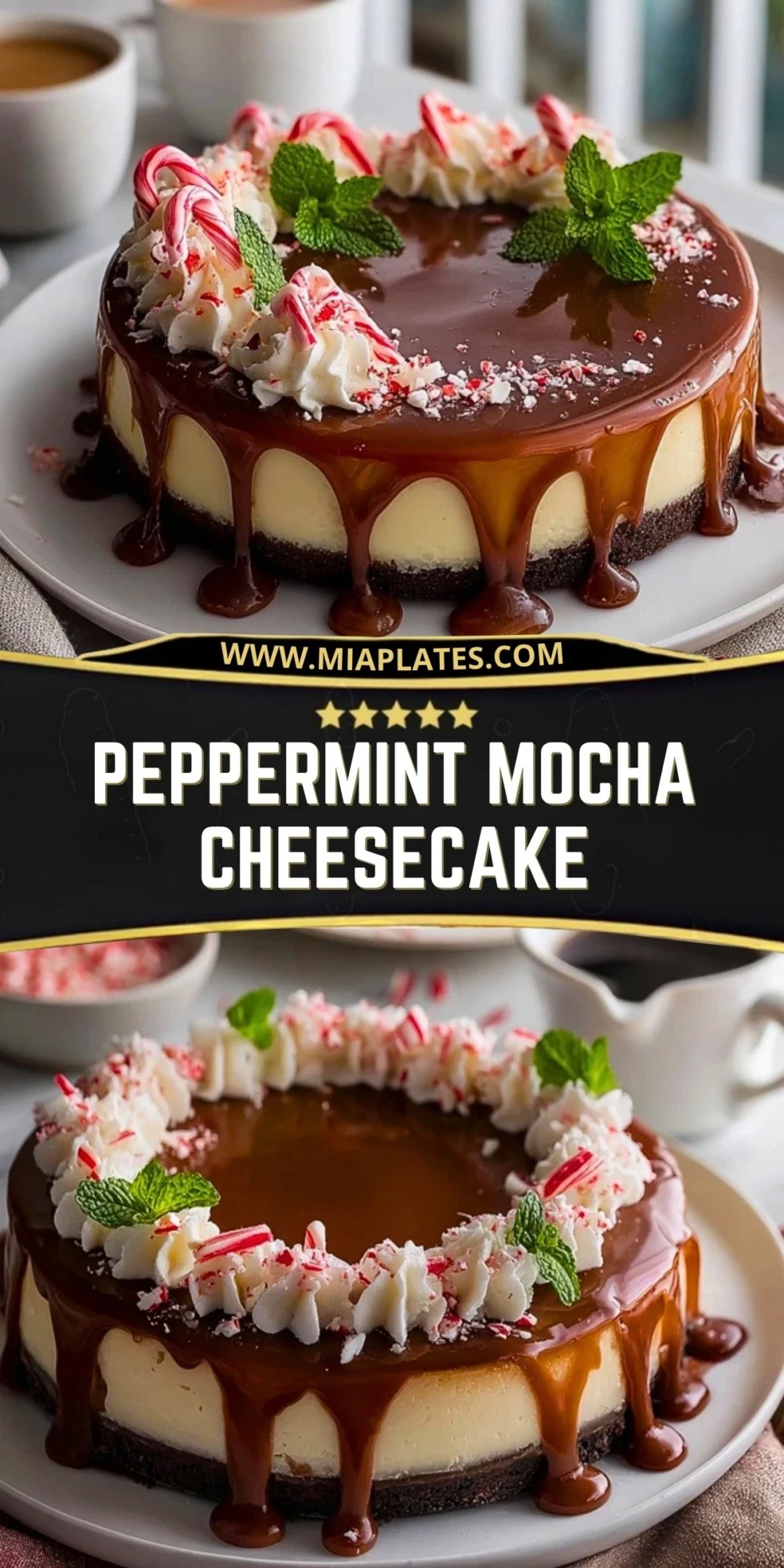 Peppermint Mocha Cheesecake (2)