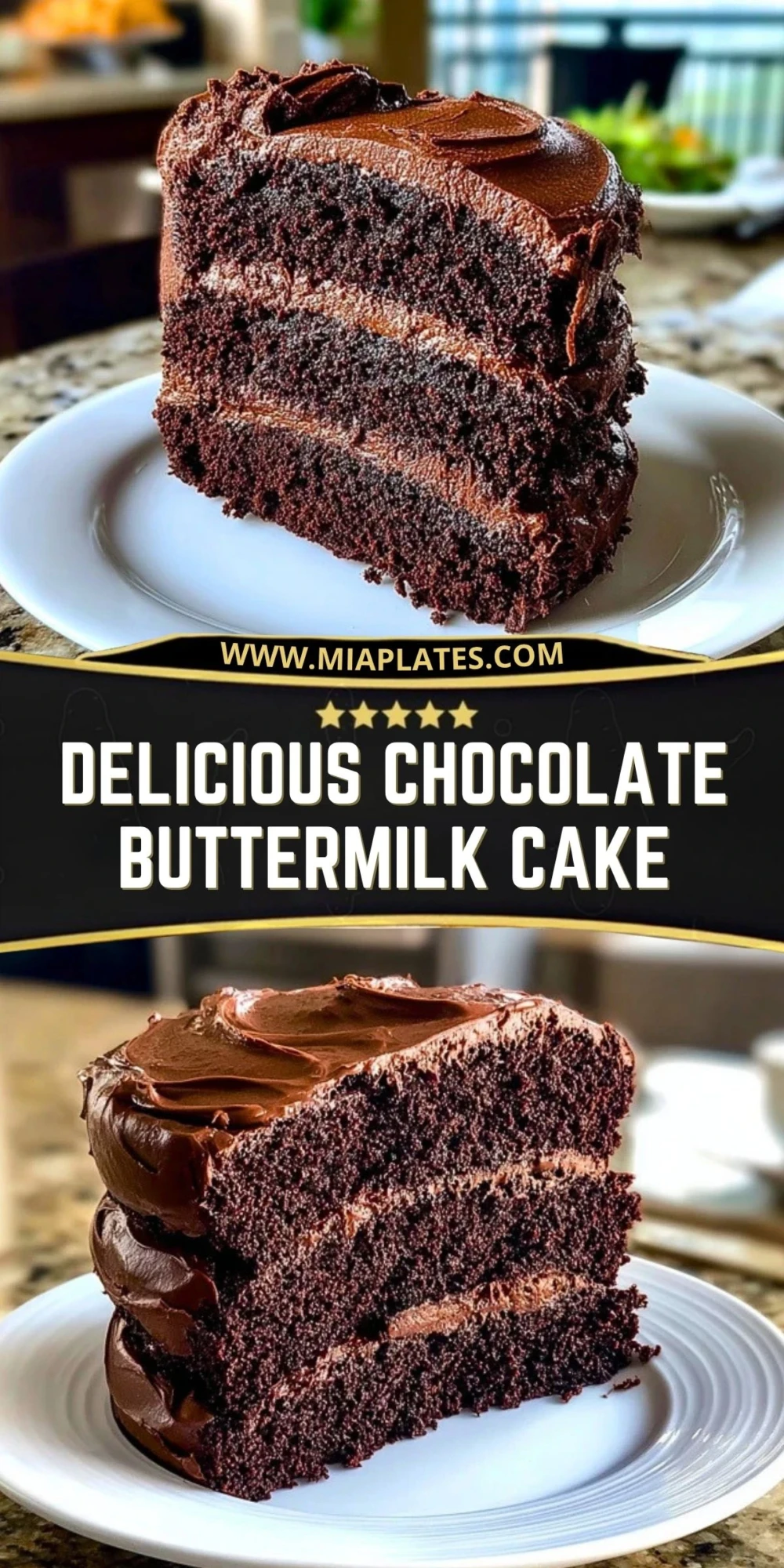 Delicious Chocolate Buttermilk Cake (2)