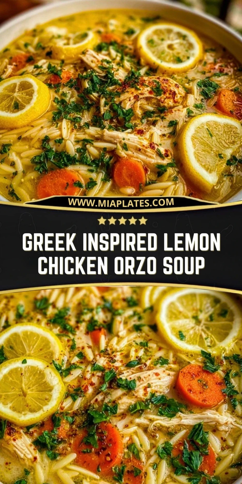 Greek Inspired Lemon Chicken Orzo Soup (2)