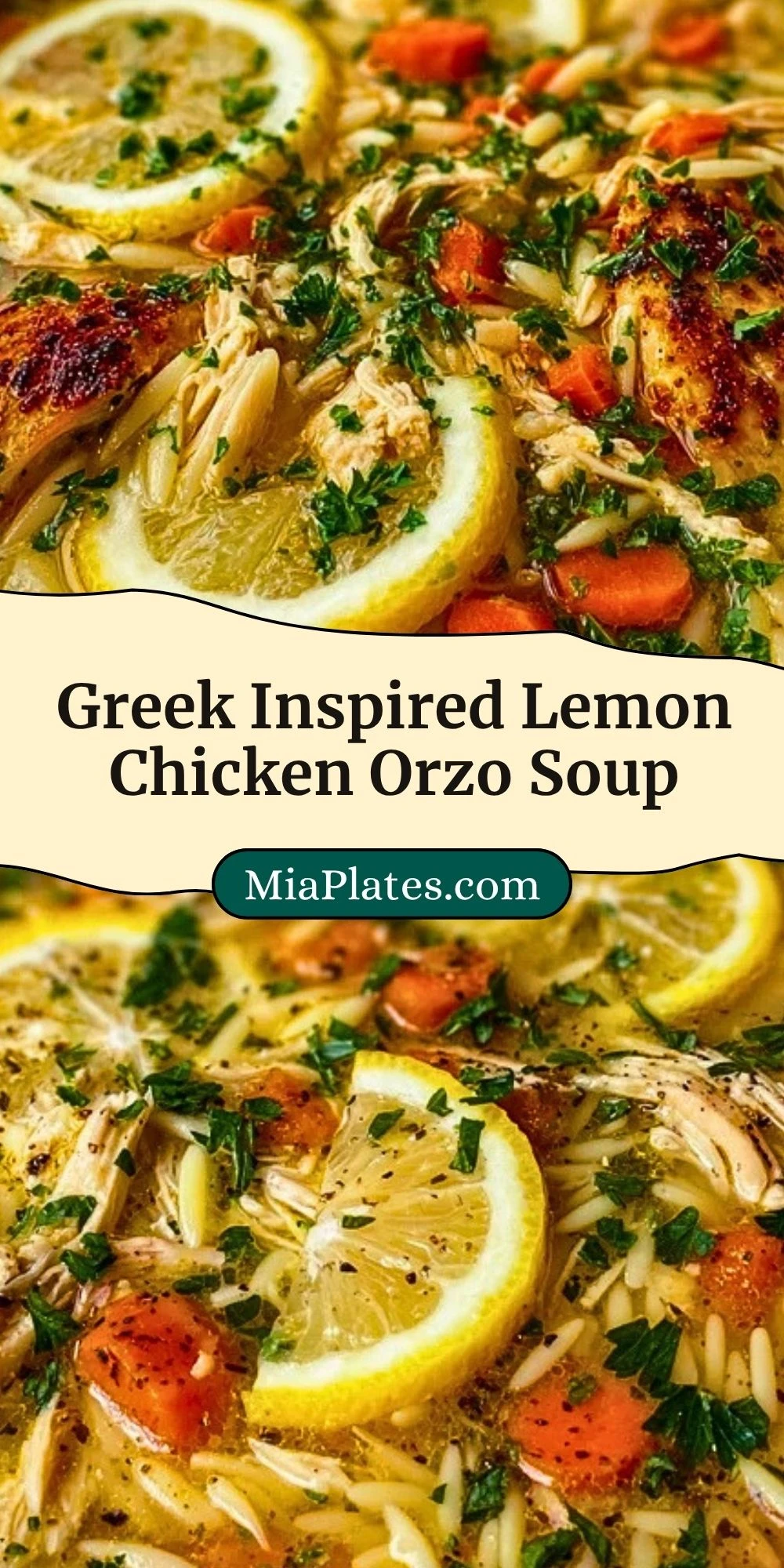 Greek Inspired Lemon Chicken Orzo Soup (3)