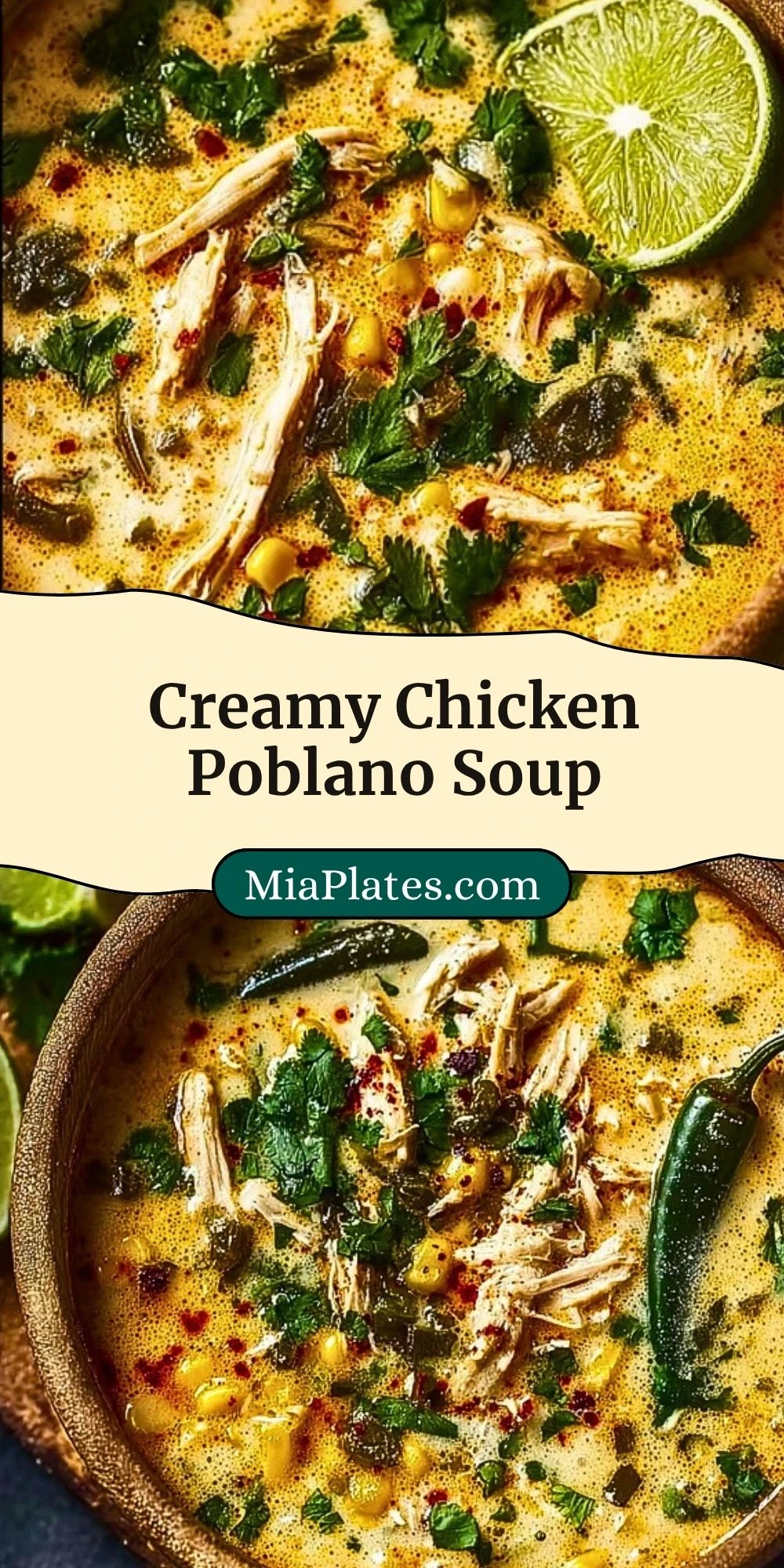 Creamy Chicken Poblano Soup (3)